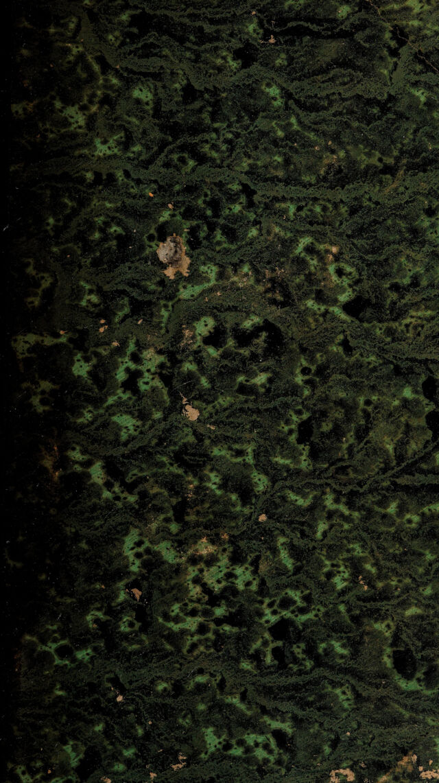 digitised image 1
