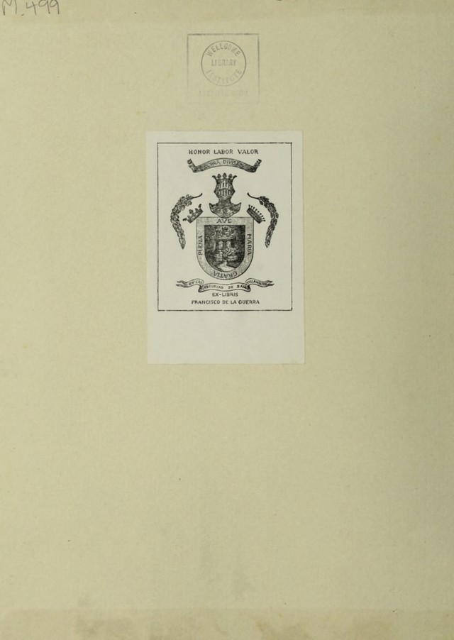 digitised image 2