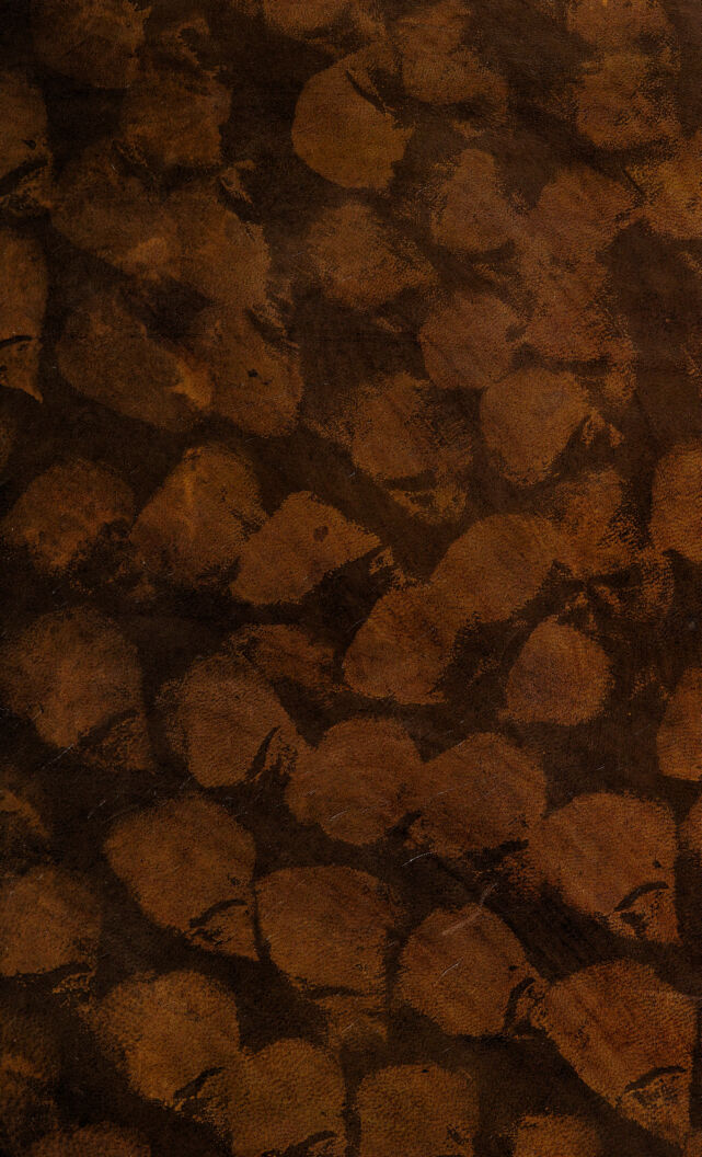 digitised image 1