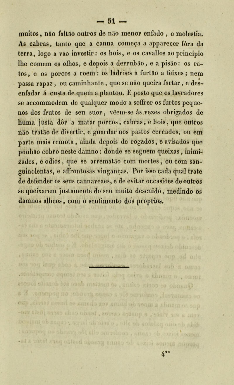muitos, não faltão outros de não menor enfado , o moléstia. As cabras, tanto que a canna começa a apparecer fóra da terra, logo a vão investir: os bois, e os cavallos ao principio lhe comem os olhos, e depois a derrubão, e a pisão: os ra- tos, e os porcos a roem: os ladrões a furtão a feixes; nem passa rapaz, ou caminhante, que se não queira fartar, c des- enfadar á custa de quem a plantou. E posto que os lavradores se accommodem de qualquer modo a soífrer os furtos peque- nos dos frutos de seu suor, vêem-se ás vezes obrigados de huma justa dor a matar porcos, cabras, e bois, que outros não tratão de divertir, e guardar nos pastos cercados, ou em parte mais remota, ainda depois de rogados, e avisados que ponhão cobro neste damno: donde se seguem queixas, inimi- zades, eodios, que se arrematão com mortes, ou com san- guinolentas, e aífrontosas vinganças. Por isso cada qual trate de defender os seus cannaveaes, e de evitar occasiões de outros se queixarem justamente do seu muito descuido, medindo os damnos alheos, com o sentimento dos proprios. 4**