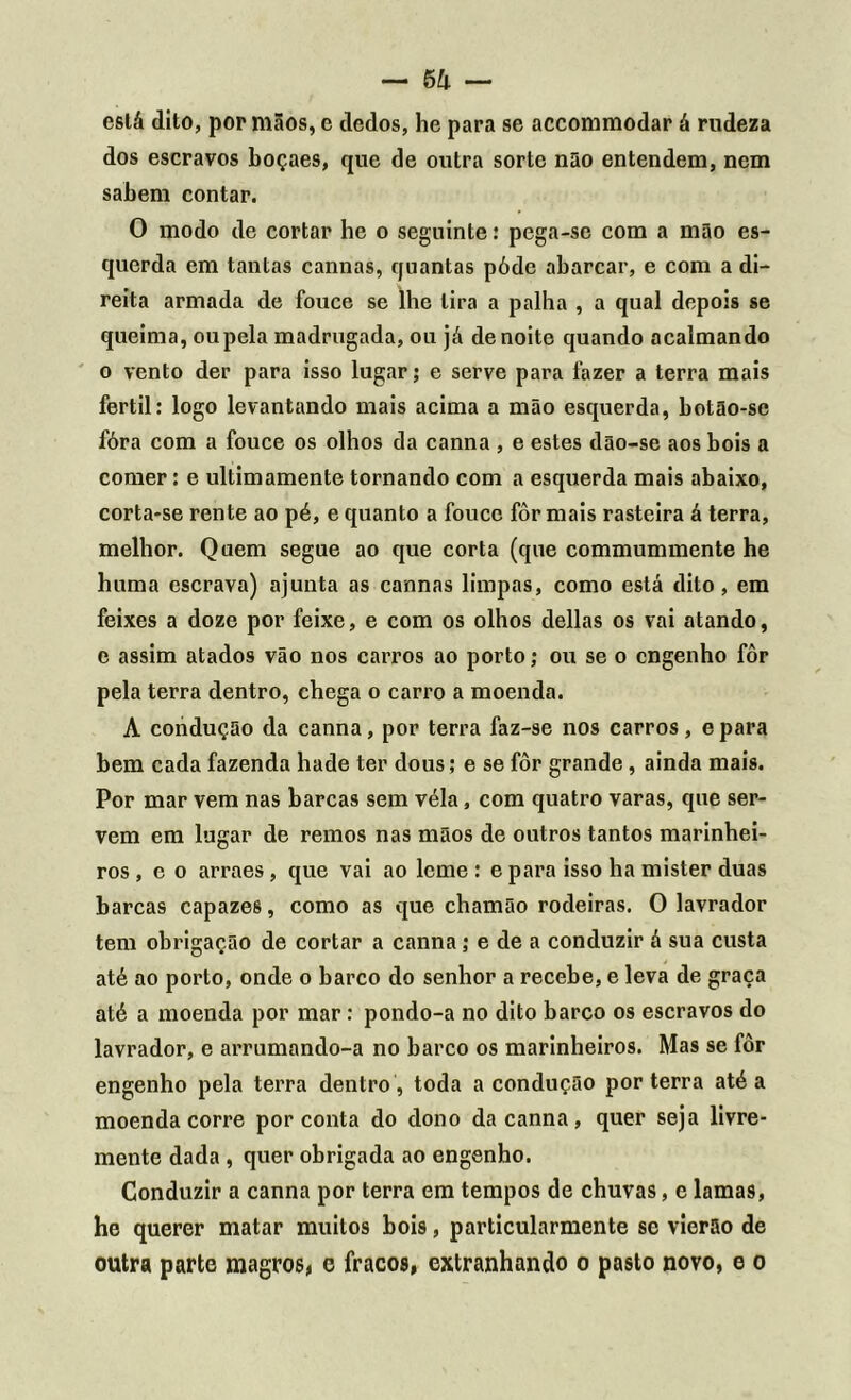 eslá dito, por mãos, e dedos, he para se accommodar á rudeza dos escravos boçaes, que de outra sorte não entendem, nem sabem contar. O modo de cortar he o seguinte: pega-se com a mão es- querda em tantas canrias, quantas pódc abarcar, e com a di- reita armada de fouce se lhe lira a palha , a qual depois se queima, ou pela madrugada, ou já de noite quando acalmando o vento der para isso lugar; e serve para fazer a terra mais fértil: logo levantando mais acima a mão esquerda, botão-sc fóra com a fouce os olhos da canna , e estes dão-se aos bois a comer: e ultimamente tornando com a esquerda mais abaixo, corta*se rente ao pé, e quanto a fouce fôr mais rasteira á terra, melhor. Quem segue ao que corta (que commummente he huma escrava) ajunta as cannas limpas, como está dito, em feixes a doze por feixe, e com os olhos delias os vai atando, e assim atados vão nos carros ao porto; ou se o engenho fôr pela terra dentro, chega o carro a moenda. A condução da canna, por terra faz-se nos carros, e para bem cada fazenda hade ter dous ; e se fôr grande, ainda mais. Por mar vem nas barcas sem véla, com quatro varas, que ser- vem em lugar de remos nas mãos de outros tantos marinhei- ros , e o arraes, que vai ao leme : e para isso ha mister duas barcas capazes, como as que chamão rodeiras. O lavrador tem obrigação de cortar a canna; e de a conduzir á sua custa até ao porto, onde o barco do senhor a recebe, e leva de graça até a moenda por mar : pondo-a no dito barco os escravos do lavrador, e arrumando-a no barco os marinheiros. Mas se fôr engenho pela terra dentro , toda a condução por terra até a moenda corre por conta do dono da canna, quer seja livre- mente dada , quer obrigada ao engenho. Conduzir a canna por terra em tempos de chuvas, e lamas, he querer matar muitos bois, particularmente se vierão de outra parte magros, e fracos, extranhando o pasto novo, e o