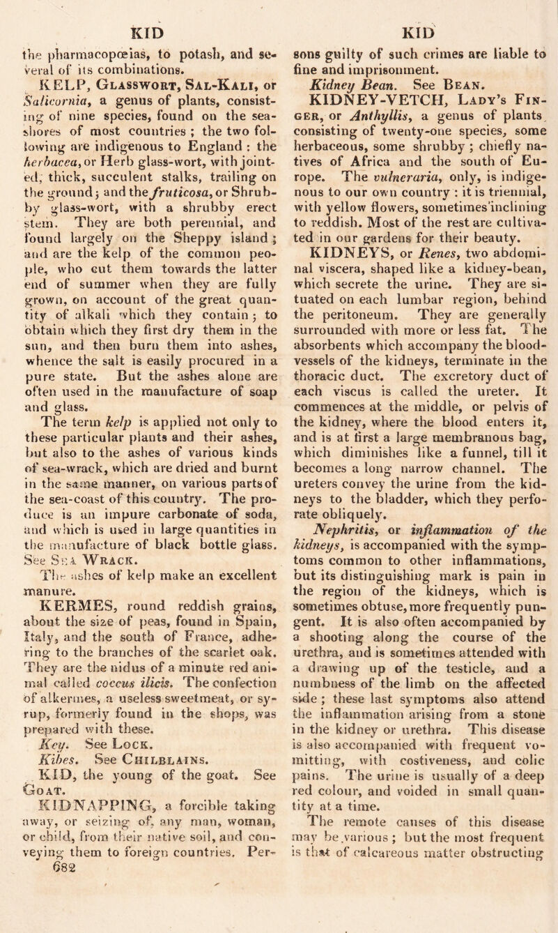 KID the pharmacopoeias, to potash, and se- veral of its combinations. KELP, Glass wort, Sal-Kali, or Saticornia, a genus of plants, consist- ing of nine species, found on the sea- shores of most countries ; the two fol- lowing are indigenous to England : the herbacea,or Herb glass-wort, with joint- ed, thick, succulent stalks, trailing on the ground) and thefruticosa,or Shrub- by glass-wort, with a shrubby erect stem. They are both perennial, and found largely on the Sheppy island ; and are the kelp of the common peo- ple, who cut them towards the latter end of summer when they are fully grown, on account of the great quan- tity of alkali which they contain j to obtain which they first dry them in the sun, and then burn them into ashes, whence the salt is easily procured in a pure state. But the ashes alone are often used in the manufacture of soap and glass. The term kelp is applied not only to these particular plants and their ashes, but also to the ashes of various kinds of sea-wrack, which are dried and burnt in the same manner, on various parts of the sea-coast of this country. The pro- duce is an impure carbonate of soda, and which is used in large quantities in tiie manufacture of black bottle glass. See Sea Wrack. Tiia ashes of kelp make an excellent manure. KERMES, round reddish grains, about the size of peas, found in Spain, Italy, and the south of France, adhe- ring to the branches of the scarlet oak. They are the nidus of a minute red ani- mal called coccus ilicis. The confection of alkermes, a useless sweetmeat, or sy- rup, formerly found in the shops, was prepared with these. Key. See Lock, Kibes. See Chilblains. KID, the young of the goat. See Goat. KIDNAPPING, a forcible taking away, or seizing of, any man, woman, or child, from their native soil, and con- veying them to foreign countries. Per- 682 KID sons guilty of such crimes are liable to fine and imprisonment. Kidney Bean. See Bean. KIDNEY-VETCH, Lady’s Fin- ger, or Anthyllis, a genus of plants consisting of twenty-one species, some herbaceous, some shrubby ; chiefly na- tives of Africa and the south of Eu- rope. The vulneraria, only, is indige- nous to our own country : it is triennial, with yellow flowers, sometimes inclining to reddish. Most of the rest are cultiva- ted in our gardens for their beauty. KIDNEYS, or Renes, two abdomi- nal viscera, shaped like a kidney-bean, which secrete the urine. They are si- tuated on each lumbar region, behind the peritoneum. They are generally surrounded with more or less fat. The absorbents which accompany the blood- vessels of the kidneys, terminate in the thoracic duct. The excretory duct of each viscus is called the ureter. It commences at the middle, or pelvis of the kidney, where the blood enters it, and is at first a large membranous bag, which diminishes like a funnel, till it becomes a long narrow channel. The ureters convey the urine from the kid- neys to the bladder, which they perfo- rate obliquely. Nephritis, or inflammation of the kidneys, is accompanied with the symp- toms common to other inflammations, but its distinguishing mark is pain in the region of the kidneys, which is sometimes obtuse,more frequently pun- gent. It is also often accompanied by a shooting along the course of the urethra, and is sometimes attended with a drawing up of the testicle, and a numbness of the limb on the affected side ; these last symptoms also attend the inflammation arising from a stone in the kidney or urethra. This disease is also accompanied with frequent vo- mitting, with costiveness, and colic pains. The urine is usually of a deep red colour, and voided in small quan- tity at a time. The remote causes of this disease may be.vanous; but the most frequent is that of calcareous matter obstructing