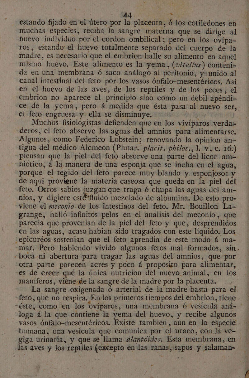 » estando fijado en el útero por la placenta, 6 los cotiledones en muchas especies, reciba la sangre materna que se dirige al fuevo indiyiduo por el cordon ombilical; pero en los ovípa- ros, estando' el huevo totalmente separado del cuerpo de la madre, es necesario que el embrion halle su alimento en aquel mismo huevo. Este alimento es la yema, (vitellus) conteni- da en una membrana 6 saco análogo al peritonio, y unido al canal intestinal del feto por los vasos ónfalo-mesentéricos, Asi en el huevo de las aves, de los reptiles y de los peces, el embrion no aparece al principio sino como un débil apéndi- ce de la yema, pero 4 medida que ésta pasa'al nuevo ser, el feto engruesa y ella se disminuye. E | Muchos fisiologistas defienden que en los vivíparos verda= deros, el feto abserve las aguas del amnios para alimentarse. Algunos, como Federico Lobstein; renovando la opinion an- tigua del médico Alemeon (Plutar. placit. philos., 1. v,c. 16:) “piensan que la piel del feto absorve una parte del licor am- “niôtico, 4 la manera de una esponja que se incha en el agua, porque el tegido del feto parece muy blando y. esponjoso: y de aqui proviene la materia caseosa que queda en la piel del - feto. Otros sabios juzgan que traga 6 chupa las aguas del am- nios, y digiere esté’fluido mezclado de albumina. De esto pro- viene el meconio.de los intestinos del feto. Mr. Bouillon La- grange, halló infinitos pelos en el analisis del meconio , que parecia que provenian de la piel del feto y que, desprendidos. -en las aguas, acaso habian sido tragados con este líquido. Los “epicuréos sostenian que el feto aprendia de este modo á ma- “mar. Pero habiendo vivido algunos fetos mal formados, sin. -boca-ni abertura para tragar las aguas del amnios, que por Otra parte parecen acres y poco á proposito para alimentar, es de creer que la única nutricion del nuevo animal, en los maníferos, viene de la sangre de la madre por la placenta. La sangre oxigenada ó arterial de la madre basta para el “feto, que no respira. En los primeros tiempos del embrion, tiene “éste, como en los oviparos, una membrana 6 vesícula aná- loga á la que contiene la yema del huevo, y recibe algunos vasos ónfalo-mesentéricos. Existe tambien, aun en la especie humana, una vesícula que comunica por el uraco, con la ve- giga urinaria, y que se llama a/antoides. Esta membrana, en las aves y los reptiles (excepto en das ranas, sapos y salaman- \ >
