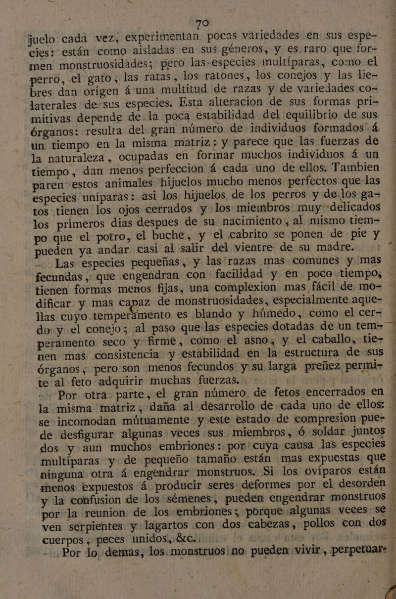fjuelo cada vez, experimentan pocas variedades en sus espe- cies: están como aisladas en sus géneros, y es.raro que for- men monstruosidades; pero las-especies multíparas, como el perro, el gato, las ratas, los: ratones, los conejos y las lie- bres dan orígen 4 una multitud de razas y de variedades co- laterales de-sus especies. Esta alteracion de sus formas pri- mitivas depende de la poca estabilidad del equilibrio de sus, órganos: resulta del gran número de individuos formados 4 un tiempo en la misma matriz : y parece que las fuerzas de la naturaleza, ocupadas en formar muchos individuos á un tiempo, dan menos perfeccion á cada uno de ellos. Tambien _ paren estos animales hijuelos mucho menos perfectos que las especies uníparas : asi los: hijuelos de los perros y de.los ga- tos tienen los ojos cerrados y los miembros: muy--delicados po que el potro, el buche, y el cabrito se ponen de pie y pueden ya andar casi al salir del vientre: de su madre... -. Las especies pequeñas, y las razas mas comunes y mas fecundas , que engendran con facilidad y en poto tiempo, tienen formas menos fijas, una complexion mas fácil de mo- dificar y mas capaz de monstruosidades, especialmente aque- las cuyo temperamento es blando y húmedo, como el cer- doy el conejo; al paso que las especies dotadas de un tem- peramento seco y firme, como: el asno, y el caballo, tie- nen mas consistencia y estabilidad en la: estructura de sus Órganos, pero son menos fecundos y:su larga preñez permi- te al feto adquirir muchas fuerzas. - E =, Por otra. parte, el gran número, de fetos enterrados en se incomodan mútuamente y este estado de compresion pue- dos y aun muchos embriones :. por'cuya causa las especies ds Z cuerpos. peces unidos, &amp;c. » Je LS 4