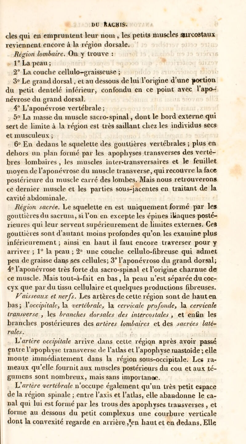 ou Hachis. clés qui en empruntent leur nom , les petits muscles surcostaux reviennent encore à la région dorsale. Région lombaire. On y trouve : 1° La peau; 2° La couche cellulo-graisseuse ; 3° Le grand dorsal, et au dessous de lui l’origine d une portion du petit dentelé inférieur, confondu en ce point avec l’apo^ névrose du grand dorsal. 4° L’aponévrose vertébrale ; 5° La masse du muscle sacro- spinal, dont le bord externe qui sert de limite à la région est très sadlant chez les individus secs et musculeux ; 6° En dedans le squelette des gouttières vertébrales ; plus en dehors un plan formé par les apophyses transverses des vertè¬ bres lombaires , les muscles inter-transversaires et le feuillet moyen de l’aponévrose du muscle transverse, qui recouvre la face postérieure du muscle carré des lombes. Mais nous retrouverons ce dernier muscle et les parties sous-jacentes en traitant de la cavité abdominale. Région sacrée. Le squelette en est uniquement formé par les gouttières du sacrum, si l’on en excepte les épines iliaques posté¬ rieures qui leur servent supérieurement de limites externes. Ceâ gouttières sont d’autant moins profondes qu’on les examine plus inférieurement ; ainsi en haut il faut encore traverser pour y arriver ; 1° la peau ; 2° une couche cellulo-fibreuse qui admet peu de graisse dans ses cellules; 3° l’aponévrose du grand dorsal; 4° l’aponévrose très forte du sacro-spinal et l’origine charnue de ce muscle. Mais tout-à-fait en bas , la peau n’est séparée du coc¬ cyx que par du tissu cellulaire et quelques productions fibreuses. Vaisseaux et nerfs. Les artères de cette région sont de haut en bas; l’occipitale, la vertébrale, la cervicale profonde, la cervicale transverse , les branches dorsales des intercostales , et enfin les branches postérieures des artères lombaires et des sacrées laté¬ rales. L’artère occipitale arrive dans cette région après avoir passé entre l’apophyse transverse de l’atlas et l’apophyse mastoide ; elle monte immédiatement dans la région sous-occipitale. Les ra¬ meaux qu’elle fournit aux muscles postérieurs du cou et aux té- gumens sont nombreux, mais sans importance. L'artère vertébrale n’occupe également qu’un très petit espace de la région spinale ; entre l’axis et l’atlas, elle abandonne le ca¬ nal qui lui est formé par les trous des apophyses transverses , et forme au dessous du petit complexus une courbure verticale dont la convexité regarde en arrière ,*en haut et en dedans. Elle