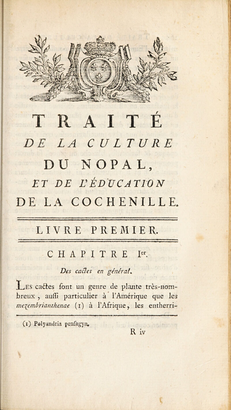 ( TRAITÉ DE LA CULTURE DU NOPAL, ET DE EÉDUCATION DE LA COCHENILLE. LIVRE PREMIER. CHAPITRE Des caâes en générah T .ES cades font un genre de plante très-nom- breux 5 aulîi particulier à l’Amérique que les meiembrianthenae (i) à l’Afrique, les entherri- (i) Pdljandria peafagyii, R iv