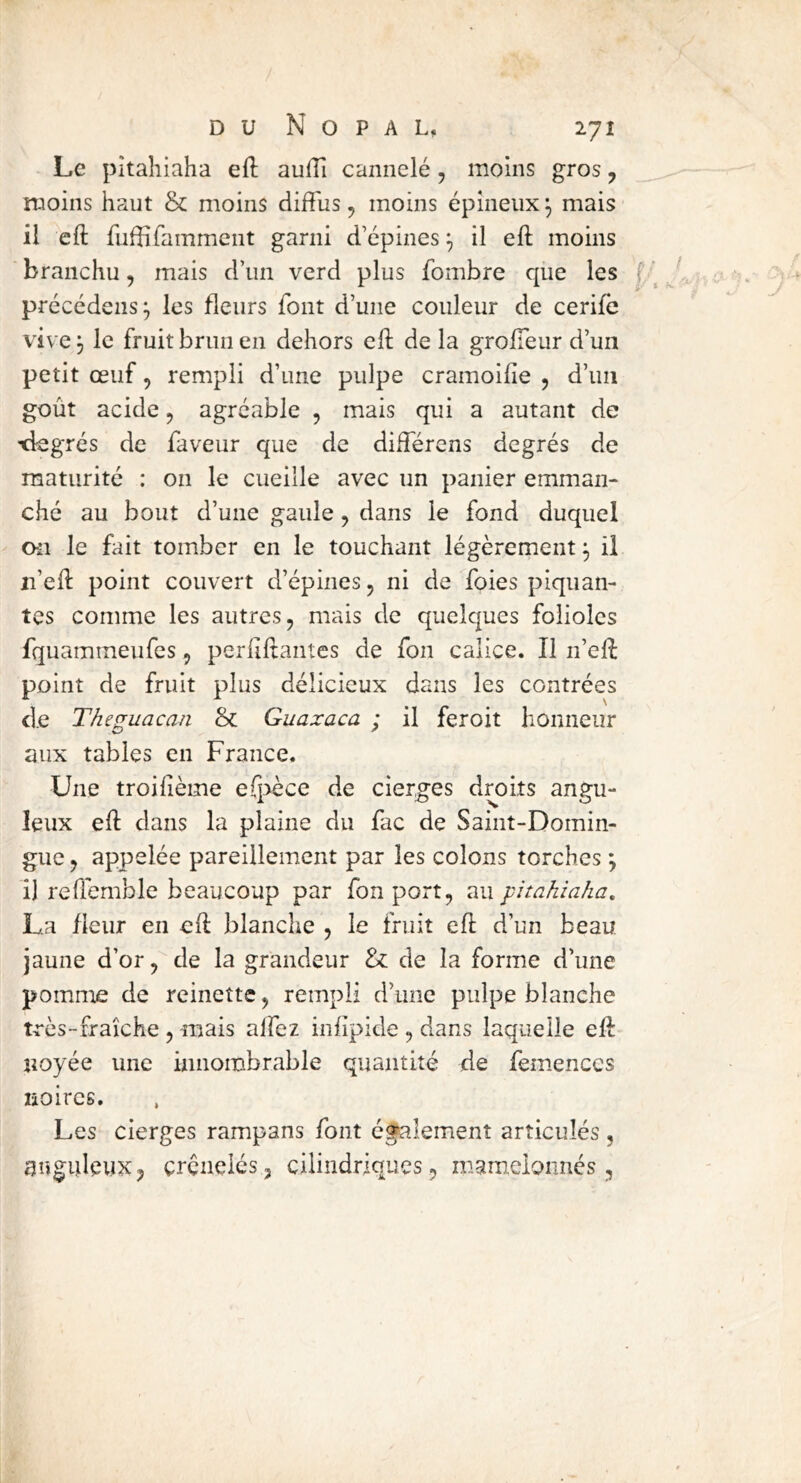 Le pitahiaha efl aufîi cannelé, moins gros ^ moins haut & moins diffus, moins épineux ^ mais il cft fufïîramment garni d’épines ^ il eft moins branchu, mais d’un verd plus fombre que les f précédons^ les fleurs font d’une couleur de cerife vive , le fruit brun en dehors eft de la groffeur d’un petit oeuf, rempli d’une pulpe cramoifie , d’un goût acide, agréable , mais qui a autant de tiegrés de faveur que de différens degrés de maturité : on le cueille avec un panier emman- ché au bout d’une gaule, dans le fond duquel on le fait tomber en le touchant légèrement ^ il n’eft point couvert d’épines, ni de foies piquan- tes comme les autres, mais de quelques folioles fquammeufes, perfiflantes de fon calice. Il n’eft point de fruit plus délicieux dans les contrées de Theguacan & Guaxaca ; il feroit honneur aux tables en France. Une troilième erj>èce de cierges droits angu- leux eft dans la plaine du fac de Saint-Domin- gue , appelée pareillement par les colons torches ; il reffemble beaucoup par fon port, au pitahiaha, La fleur en efl blanche , le fruit efl: d’un beau jaune d’or, de la grandeur & de la forme d’une pomme de reinette, rempli d’une pulpe blanche t-rès-fraîche , mais affez infipide , dans laquelle eft noyée une innombrable quantité de femenccs noires. Les cierges rampans font également articulés , anguleux, crénelés, cilindriques, mam-cionnés,