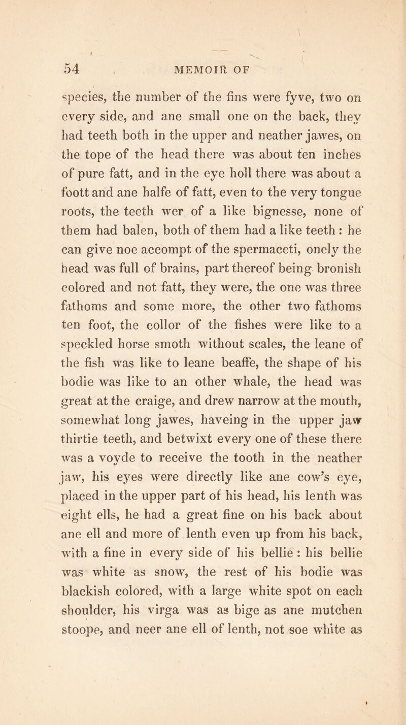 species, tlie number of the fins were fyve, two on every side, and ane small one on the back, they had teeth both in the upper and neather jawes, on the tope of the head there was about ten inches of pure fatt, and in the eye holl there was about a foott and ane halfe of fatt, even to the very tongue roots, the teeth wer of a like bignesse, none of them had balen, both of them had a like teeth : he can give noe accorapt of the spermaceti, onely the head was full of brains, part thereof being bronish colored and not fatt, they were, the one was three fathoms and some more, the other two fathoms ten foot, the collor of the fishes were like to a speckled horse smoth without scales, the leane of the fish was like to leane beaffe, the shape of his bodie was like to an other whale, the head was great at the craige, and drew narrow at the mouth, somewhat long jawes, haveing in the upper jaw thirtie teeth, and betwixt every one of these there Avas a voyde to receive the tooth in the neather jaw, his eyes were directly like ane cow’s eye, placed in the upper part of his head, his lenth was eight ells, he had a great fine on his back about ane ell and more of lenth even up from his back, with a fine in everj’- side of his bellie: his bellie was white as snow, the rest of his bodie was blackish colored, with a large white spot on each shoulder, his virga was as bige as ane mutchen stoope, and neer ane ell of lenth, not soe white as