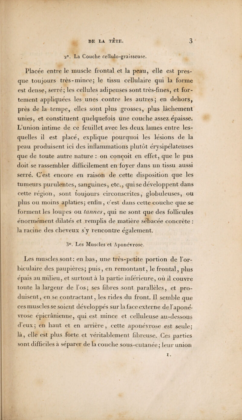 2°. La Couche eeilulo-graisseuse. Placée entre le muscle frontal et la peau, elle est pres¬ que toujours très-mince; le tissu cellulaire qui la forme est dense, serré; les cellules adipeuses sont très-fines, et for- » tement appliquées les unes contre les autres; en dehors, près de la tempe, elles sont plus grosses, plus lâchement unies, et constituent quelquefois une couche assez épaisse. L’union intime de ce feuillet avec les deux lames entre les¬ quelles il est placé, explique pourquoi les lésions de la peau produisent ici des inflammations plutôt érysipélateuses que de toute autre nature : on conçoit en effet, que le pus doit se rassembler difficilement en foyer dans un tissu aussi serré. C’est encore en raison de cette disposition que les tumeurs purulentes, sanguines, etc., qui se développent dans cette région, sont toujours circonscrites, globuleuses, ou plus ou moins aplaties; enfin, c’est dans cette couche que se forment les loupes ou tannes, qui ne sont que des follicules énormément dilatés et remplis de matière sébacée concrète : la racine des cheveux s’y rencontre également. 3°. Les Muscles et Aponévrose. Les muscles sont: en bas, une très-petite portion de l’or- biculaire des paupières; puis, en remontant, le frontal, plus épais au milieu, et surtout à la partie inférieure, où il couvre toute la largeur de Fos; ses fibres sont parallèles, et pro¬ duisent, en se contractant, les rides du front. Il semble que ces muscles se soient développés sur la face externe de l’aponé¬ vrose épicranienne, qui est mince et celluleuse au-dessous d’eux; en haut et en arrière, cette aponévrose est seule; là, elle est plus forte et véritablement fibreuse. Ces parties sont difficiles à séparer de la couche sous-cutanée; leur union i.