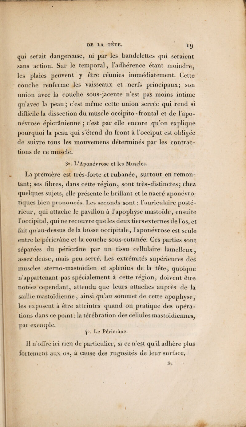 qui serait dangereuse, ni par les bandelettes qui seraient sans action. Sur le temporal, l’adhérence étant moindre, les plaies peuvent y être réunies immédiatement. Cette couche renferme les vaisseaux et nerfs principaux; son union avec la couche sous-jacente n’est pas moins intime qu’avec la peau; c’est même cette union serrée qui rend si difficile la dissection du muscle occipito - frontal et de l’apo¬ névrose épicranienne ; c’est par elle encore qu’on explique pourquoi la peau qui s'étend du front à l’occiput est obligée de suivre tous les mouvemens déterminés par les contrac¬ tions de ce muscle. 3°. L’Aponévrose et les Muscles. La première est très-forte et rubanée, surtout en remon¬ tant; ses fibres, dans cette région, sont très-distinctes; chez quelques sujets, elle présente le brillant et le nacré aponévro- tiques bien prononcés. T.es seconds sont : l’auriculaire posté¬ rieur, qui attache le pavillon à l’apophyse mastoïde, ensuite l’occipital, qui ne recouvre qu e les deux tiers externes de l’os, et fait qu’au-dessus delà bosse occipitale, l’aponévrose est seule entre le péricrâne et la couche sous-cutanée. Ces parties sont séparées du péricrâne par un tissu cellulaire lamelleux, assez dense, mais peu serré. Les extrémités supérieures des muscles sterno-mastoïdien et splénius de la tête, quoique n’appartenant pas spécialement à cette région, doivent être notées cependant, attendu que leurs attaches auprès de la saillie mastoïdienne, ainsi qu’au sommet de cette apophyse, les exposent à être atteintes quand on pratique des opéra¬ tions dans ce point: la térébration des cellules mastoïdiennes, par exemple. 4°. Le Péricrâne. Il n’offre ici rien de particulier, si ce n’est qu’il adhère plus fortement aux os, a cause des rugosités de leur surface.