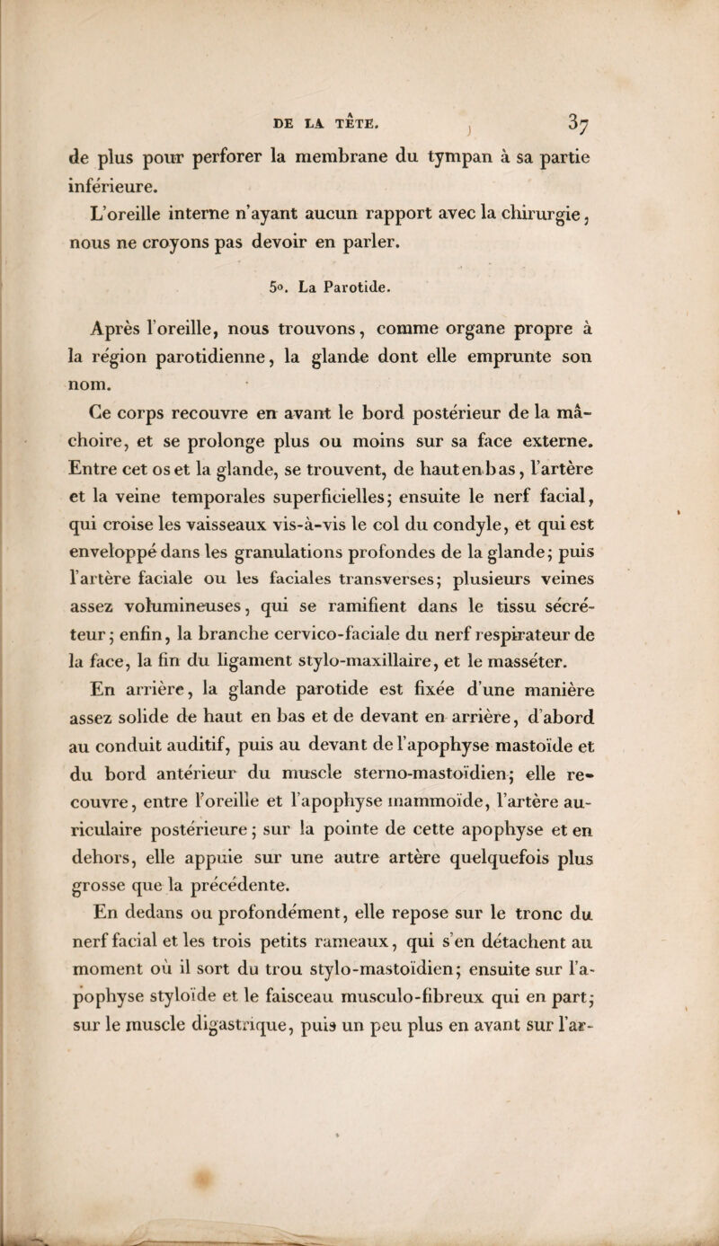 de plus pour perforer la membrane du tympan à sa partie inferieure. L’oreille interne n’ayant aucun rapport avec la chirurgie , nous ne croyons pas devoir en parler. 5°. La Parotide. Après l’oreille, nous trouvons, comme organe propre à la région parotidienne, la glande dont elle emprunte son nom. Ce corps recouvre en avant le bord postérieur de la mâ¬ choire, et se prolonge plus ou moins sur sa face externe. Entre cet os et la glande, se trouvent, de haut en b as, l’artère et la veine temporales superficielles; ensuite le nerf facial, qui croise les vaisseaux vis-à-vis le col du condyle, et qui est enveloppé dans les granulations profondes de la glande; puis l’artère faciale ou les faciales transverses; plusieurs veines assez volumineuses, qui se ramifient dans le tissu sécré¬ teur ; enfin, la branche cervico-faciale du nerf respirateur de la face, la fin du ligament stylo-maxillaire, et le masséter. En arrière, la glande parotide est fixée d’une manière assez solide de haut en bas et de devant en arrière, d’abord au conduit auditif, puis au devant de l’apophyse mastoïde et du bord antérieur du muscle sterno-mastoïdien; elle re» couvre, entre l’oreille et l’apophyse inammoide, l’artère au¬ riculaire postérieure ; sur la pointe de cette apophyse et en dehors, elle appuie sur une autre artère quelquefois plus grosse que la précédente. En dedans ou profondément, elle repose sur le tronc du nerf facial et les trois petits rameaux, qui s’en détachent au moment où il sort du trou stylo-mastoïdien; ensuite sur l’a¬ pophyse styloïde et le faisceau inusculo-fibreux qui en part; sur le muscle digastrique, puis un peu plus en avant sur far-