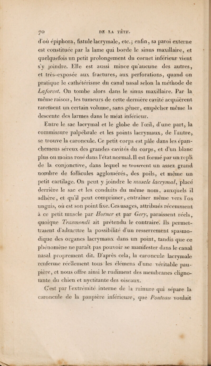 d’où épiphora, fistule lacrymale, etc.; enfin, sa paroi externe est constituée par la lame qui borde le sinus maxdlaire, et quelquefois un petit prolongement du cornet inférieur vient s’y joindre. Elle est aussi mince qu’aucune des autres, et très-exposée aux fractures, aux perforations, quand on pratique le cathétérisme du canal nasal selon la méthode de Lajorest. On tombe alors dans le sinus maxillaire. Par la même raison, les tumeurs de cette dernière cavité acquièrent rarement un certain volume, sans gêner, empêcher même la descente des larmes dans le méat inférieur. Entre le sac lacrymal et le globe de l’œil, d’une part, la commissure palpébrale et les points lacrymaux, de l’autre, se trouve la caroncule. Ce petit corps est pâle dans les épan- ehemens séreux des grandes cavités du corps, et d’un blanc plus ou moins rosé dans l’état normal. Il est formé par un repli de la conjonctive, dans lequel se trouvent un assez grand nombre de follicules agglomérés, des poils, et même un petit cartilage. On peut y joindre le muscle lacrymal, placé derrière le sac et les conduits du même nom, auxquels il adhère, et qu’il peut comprimer, entraîner même vers l’os unguis, où est son point fixe. Ces usages, attribués récemment à ce petit muscle par Borner et par Gery, paraissent réels, quoique Trasmondi ait prétendu le contraire. Ils permet¬ traient d’admettre la possibilité d’un resserrement spasmo¬ dique des organes lacrymaux dans un point, tandis que ce phénomène ne paraît pas pouvoir se manifester dans le canal nasal proprement dit. D’après cela, la caroncule lacrymale renferme réellement tous les élémens d’une véritable pau¬ pière, et nous offre ainsi le rudiment des membranes cligno¬ tante du chien et nyctitante des oiseaux. C’est par l’extrémité interne de la rainure qui sépare la caroncule de la paupière inférieure, que Fouteau voulait