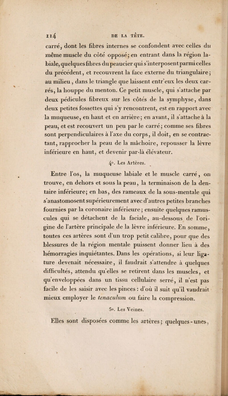 carré 3 dont les fibres internes se confondent avec celles du même muscle du côté opposé; en entrant dans la région la¬ biale, quelques fibres dupeaueier qui s’interposent parmi celles du précédent, et recouvrent la face externe du triangulaire ; au milieu , dans le triangle que laissent entr’eux les deux car¬ rés, la houppe du menton. Ce petit muscle, qui s’attache par deux pédicules fibreux sur les côtés de la symphyse, dans deux petites fossettes qui s’y rencontrent, est en rapport avec la muqueuse, en haut et en arrière; en avant, il s’attache à la peau, et est recouvert un peu par le carré ; comme ses fibres sont perpendiculaires à l’axe du corps, il doit, en se contrac¬ tant, rapprocher la peau de la mâchoire, repousser la lèvre inférieure en haut, et devenir par-là élévateur. 4°. Les Artères. Entre l’os, la muqueuse labiale et le muscle carré, on trouve, en dehors et sous la peau, la terminaison de la den¬ taire inférieure; en bas, des rameaux de la sous-mentale qui s’anastomosent supérieurement avec d’autres petites branches fournies par la coronaire inférieure ; ensuite quelques minus¬ cules qui se détachent de la faciale, au-dessous de l’ori¬ gine de l’artère principale de la lèvre inférieure. En somme, toutes ces artères sont d’un trop petit calibre, pour que des blessures de la région mentale puissent donner lieu à des hémorragies inquiétantes. Dans les opérations, si leur liga¬ ture devenait nécessaire, il faudrait s’attendre à quelques difficultés, attendu quelles se retirent dans les muscles, et qu’enveloppées dans un tissu cellulaire serré, il n’est pas facile de les saisir avec les pinces : d’où il suit qu’il vaudrait mieux employer le tenaculum ou faire la compression. 5°. Les Veines. Elles sont disposées comme les artères ; quelques - unes,