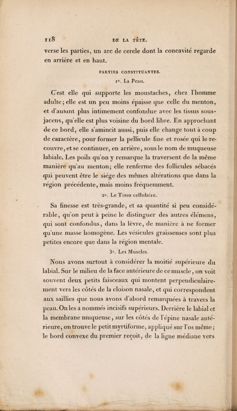 Il8 DE LA TETE. verse les parties, un arc de cercle dont la concavité regarde en arrière et en haut. PARTIES CONSTITUANTES. i°. La Peau. C’est elle qui supporte les moustaches, chez l’homme adulte; elle est un peu moins épaisse que celle du menton, et d’autant plus intimement confondue avec les tissus sous-1 jacens, qu elle est plus voisine du bord libre. En approchant de ce bord, elle s’amincit aussi, puis elle change tout à coup de caractère, pour former la pellicule fine et rosée qui le re¬ couvre, et se continuer, en arrière, sous le nom de muqueuse labiale. Les poils qu on y remarque la traversent de la même manière qu’au menton; elle renferme des follicules sébacés qui peuvent être le siège des mêmes altérations que dans la région précédente, mais moins fréquemment. 2°. Le Tissu cellulaire. Sa finesse est très-grande, et sa quantité si peu considé- rahle, qu’on peut à peine le distinguer des autres élémens, qui sont confondus, dans la lèvre, de manière à ne former qu’une masse homogène. Les vésicules graisseuses sont plus petites encore que dans la région mentale. 3°. Les Muscles. Nous avons surtout à considérer la moitié supérieure du labial. Sur le milieu de la face antérieure de ce muscle, on voit souvent deux petits faisceaux qui montent perpendiculaire¬ ment vers les côtés de la cloison nasale, et qui correspondent aux saillies que nous avons d’abord remarquées à travers la peau. On les a nommés incisifs supérieurs. Derrière le labial et la membrane muqueuse, sur les côtés de l’épine nasale anté¬ rieure, on trouve le petit myrtiforme, appliqué sur l’os même ; le bord convexe du premier reçoit, de la ligne médiane vers