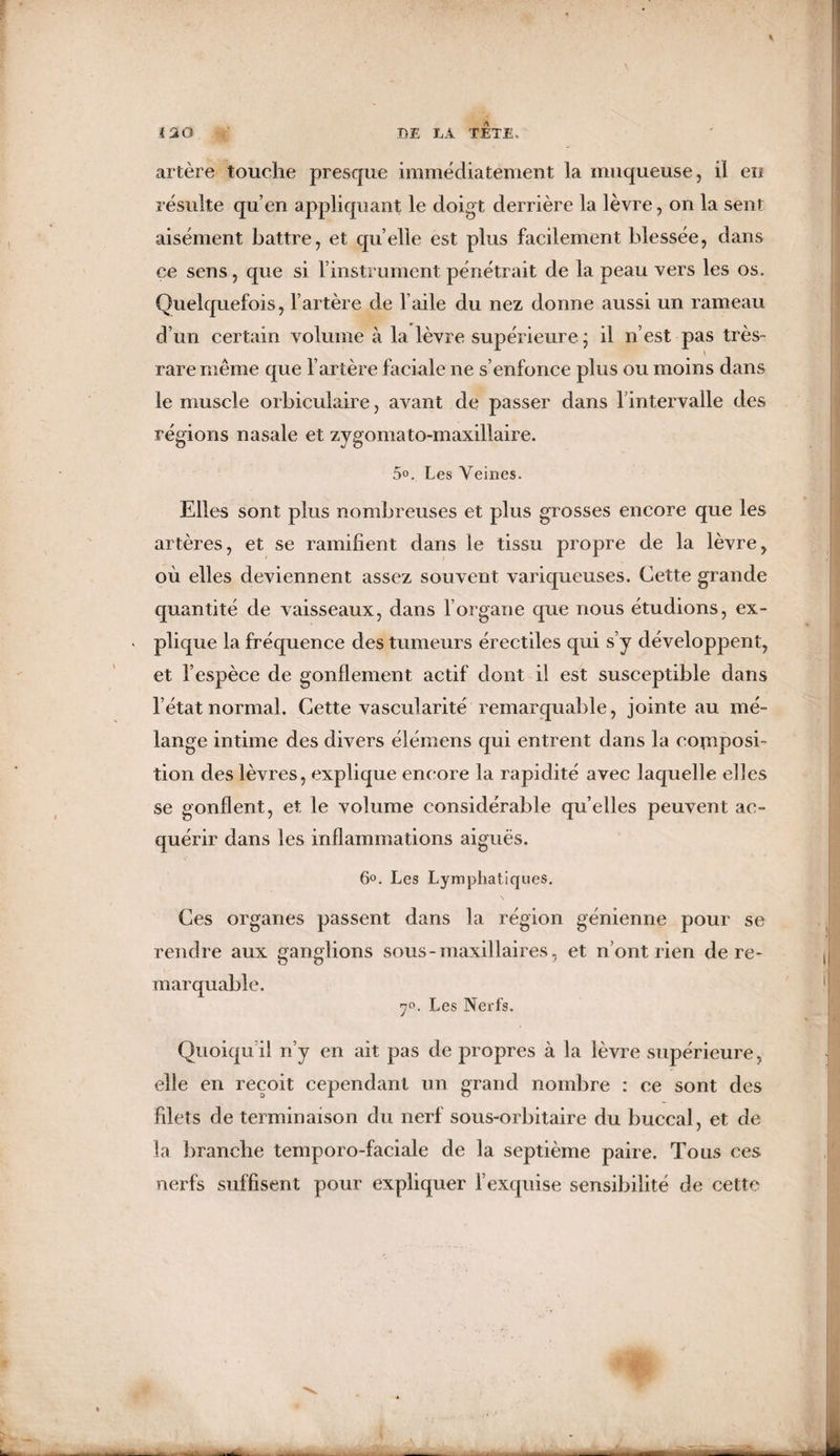 artère touche presque immédiatement la muqueuse, il en résulte qu’en appliquant le doigt derrière la lèvre, on la sent aisément battre, et quelle est plus facilement blessée, dans ce sens, que si l’instrument pénétrait de la peau vers les os. Quelquefois, l’artère de l’aile du nez donne aussi un rameau d’un certain volume à la lèvre supérieure ; il n’est pas très- rare même que l’artère faciale ne s’enfonce plus ou moins dans le muscle orbiculaire, avant de passer dans l’intervalle des régions nasale et zygomato-maxillaire. 5°. Les Veines. Elles sont plus nombreuses et plus grosses encore que les artères, et se ramifient dans le tissu propre de la lèvre, où elles deviennent assez souvent variqueuses. Cette grande quantité de vaisseaux, dans l’organe que nous étudions, ex- • plique la fréquence des tumeurs érectiles qui s’y développent, et l’espèce de gonflement actif dont il est susceptible dans l’état normal. Cette vascularité remarquable, jointe au mé¬ lange intime des divers élémens qui entrent dans la composi¬ tion des lèvres, explique encore la rapidité avec laquelle elles se gonflent, et le volume considérable qu’elles peuvent ac¬ quérir dans les inflammations aiguës. 6°. Les Lymphatiques. Ces organes passent dans la région génienne pour se rendre aux ganglions sous-maxillaires, et n’ont rien de re¬ marquable. 7°. Les Nerfs. Quoiqu’il n’y en ait pas de propres à la lèvre supérieure, elle en reçoit cependant un grand nombre : ce sont des filets de terminaison du nerf sous-orbitaire du buccal, et de la branche temporo-faciale de la septième paire. Tous ces nerfs suffisent pour expliquer l’exquise sensibilité de cette