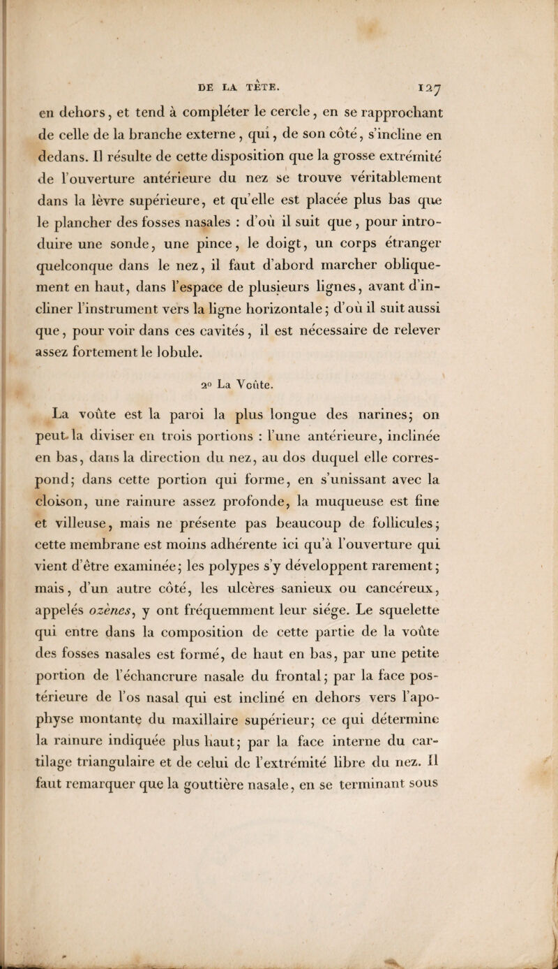 en dehors, et tend à compléter le cercle, en se rapprochant de celle de la branche externe , qui, de son côté , s’incline en dedans. Il résulte de cette disposition que la grosse extrémité de l’ouverture antérieure du nez se trouve véritablement dans la lèvre supérieure, et quelle est placée plus bas que le plancher des fosses nasales : d’où il suit que , pour intro¬ duire une sonde, une pince, le doigt, un corps étranger quelconque dans le nez, il faut d’abord marcher oblique¬ ment en haut, dans l’espace de plusieurs lignes, avant d’in¬ cliner l’instrument vers la ligne horizontale ; d’où il suit aussi que, pour voir dans ces cavités, il est nécessaire de relever assez fortement le lobule. 2° La Voûte. La voûte est la paroi la plus longue des narines ; on peut*la diviser en trois portions : l’une antérieure, inclinée en bas, dans la direction du nez, au dos duquel elle corres¬ pond; dans cette portion qui forme, en s’unissant avec la cloison, une rainure assez profonde, la muqueuse est fine et villeuse, mais ne présente pas beaucoup de follicules; cette membrane est moins adhérente ici qu’à l’ouverture qui vient d’être examinée; les polypes s’y développent rarement; mais, d’un autre côté, les ulcères sanieux ou cancéreux, appelés oz 'enes, y ont fréquemment leur siège. Le squelette qui entre dans la composition de cette partie de la voûte des fosses nasales est formé, de haut en bas, par une petite, portion de l’échancrure nasale du frontal ; par la face pos¬ térieure de l’os nasal qui est incliné en dehors vers l’apo¬ physe montante du maxillaire supérieur; ce qui détermine la rainure indiquée plus haut; par la face interne du car¬ tilage triangulaire et de celui de l’extrémité libre du nez. Il faut remarquer que la gouttière nasale, en se terminant sous