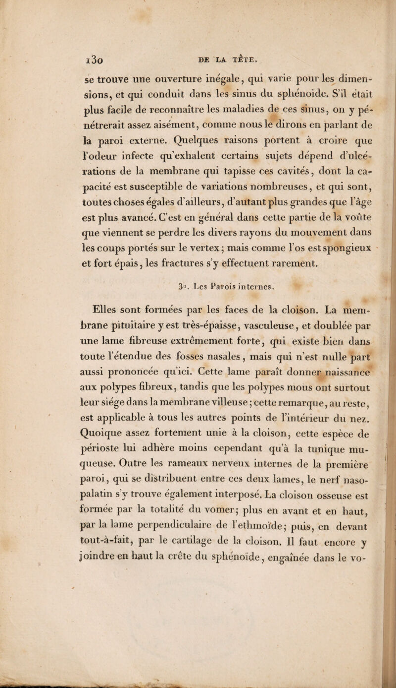 se trouve une ouverture inégale, qui varie pour les dimen¬ sions, et qui conduit dans les sinus du sphénoïde. S’il était plus facile de reconnaître les maladies de ces sinus, on y pé¬ nétrerait assez aisément, comme nous le dirons en parlant de la paroi externe. Quelques raisons portent à croire que Todeur infecte qu’exhalent certains sujets dépend d’ulcé¬ rations de la membrane qui tapisse ces cavités, dont la ca¬ pacité est susceptible de variations nombreuses, et qui sont, toutes choses égales d’ailleurs, d’autant plus grandes que l’âge est plus avancé. C’est en général dans cette partie de la voûte que viennent se perdre les divers rayons du mouvement dans les coups portés sur le vertex; mais comme l’os est spongieux et fort épais, les fractures s’y effectuent rarement. 3°. Les Parois internes. Elles sont formées par les faces de la cloison. La mem¬ brane pituitaire y est très-épaisse, vasculeuse, et doublée par une lame fibreuse extrêmement forte, qui existe bien dans toute l’étendue des fosses nasales, mais qui n’est nulle part aussi prononcée qu’ici. Cette lame paraît donner naissance aux polypes fibreux, tandis que les polypes mous ont surtout leur siège dans la membrane villeuse ; cette remarque, au reste, est applicable à tous les autres points de l’intérieur du nez. Quoique assez fortement unie à la cloison, cette espèce de périoste lui adhère moins cependant qu’à la tunique mu¬ queuse. Outre les rameaux nerveux internes de la première paroi, qui se distribuent entre ces deux lames, le nerf naso- palatin s’y trouve également interposé. La cloison osseuse est formée par la totalité du vomer; plus en avant et en haut, par la lame perpendiculaire de l’ethmoMe; puis, en devant tout-à-fait, par le cartilage de la cloison. 11 faut encore y joindre en haut la crête du sphénoïde, engainée dans le vo-