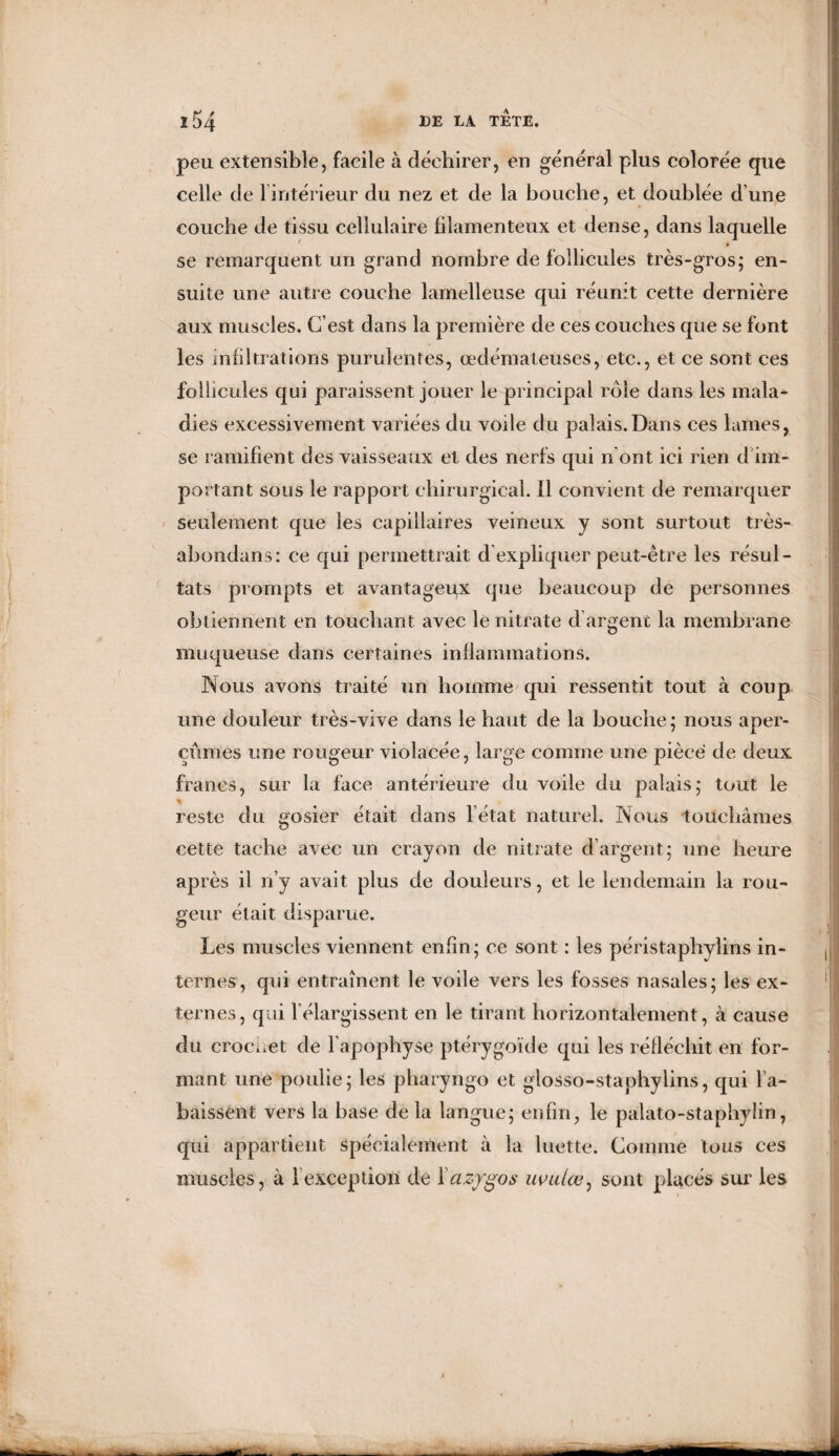 peu extensible, facile à déchirer, en général plus colorée que celle de l'intérieur du nez et de la bouche, et doublée d’une couche de tissu cellulaire filamenteux et dense, dans laquelle se remarquent un grand nombre de follicules très-gros; en¬ suite une autre couche lamelleuse qui réunit cette dernière aux muscles. C’est dans la première de ces couches que se font les infiltrations purulentes, œdémateuses, etc., et ce sont ces follicules qui paraissent jouer le principal rôle dans les mala¬ dies excessivement variées du voile du palais.Dans ces lames, se ramifient des vaisseaux et des nerfs qui n ont ici rien d im¬ portant sous le rapport chirurgical, il convient de remarquer seulement que les capillaires veineux y sont surtout très- abondans: ce qui permettrait d expliquer peut-être les résul¬ tats prompts et avantageux que beaucoup de personnes obtiennent en touchant avec le nitrate d’argent la membrane muqueuse dans certaines inflammations. Nous avons traité un homme qui ressentit tout à coup une douleur très-vive dans le haut de la bouche; nous aper¬ çûmes une rougeur violacée, large comme une pièce de deux. francs, sur la face antérieure du voile du palais; tout le % reste du gosier était dans l’état naturel. Nous touchâmes cette tache avec un crayon de nitrate d’argent; une heure après il n’y avait plus de douleurs, et le lendemain la rou¬ geur était disparue. Les muscles viennent enfin; ce sont : les péristaphylins in¬ ternes, qui entraînent le voile vers les fosses nasales; les ex¬ ternes, qui l’élargissent en le tirant horizontalement, à cause du crocuet de l’apophyse ptérygoïde qui les réfléchit en for¬ mant une poulie; les pharyngo et glosso-staphylins, qui ra¬ baissent vers la base delà langue; enfin, le palato-staphylin, qui appartient spécialement à la luette. Comme tous ces muscles, à 1 exception de \azygos uvulœ, sont placés sur les _ am