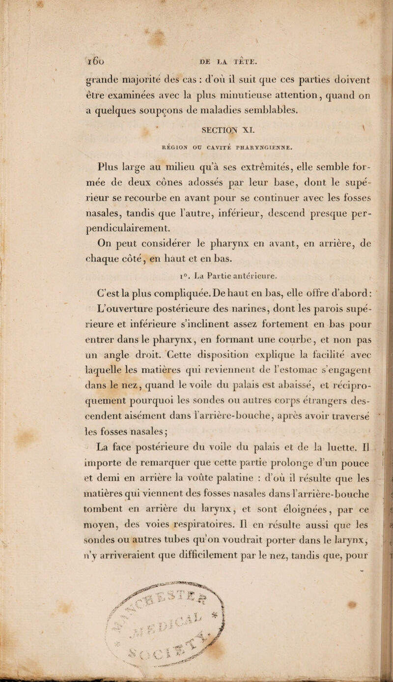 grande majorité des cas : d’où il suit que ces parties doivent être examinées avec la plus minutieuse attention, quand on a quelques soupçons de maladies semblables. SECTION XL RÉGION OU CA.VITE PHARYNGIENNE. Plus large au milieu qu’à ses extrémités, elle semble for¬ mée de deux cônes adossés par leur base, dont le supé¬ rieur se recourbe en avant pour se continuer avec les fosses nasales, tandis que l’autre, inférieur, descend presque per¬ pendiculairement. On peut considérer le pharynx en avant, en arrière, de chaque côté, en haut et en bas. i°. La Partie antérieure. C’est la plus compliquée.De haut en bas, elle offre d’abord: L’ouverture postérieure des narines, dont les parois supé¬ rieure et inférieure s’inclinent assez fortement en bas pour entrer dans le pharynx, en formant une courbe, et non pas un angle droit. Cette disposition explique la facilité avec laquelle les matières qui reviennent de l’estomac s’engagent dans le nez, quand le voile du palais est abaissé, et récipro¬ quement pourquoi les sondes ou autres corps étrangers des¬ cendent aisément dans l’arrière-bouche, après avoir traversé les fosses nasales ; La face postérieure du voile du palais et de la luette. Il importe de remarquer que cette partie prolonge d’un pouce et demi en arrière la voûte palatine : d’où il résulte que les matières qui viennent des fosses nasales dans barrière-bouche tombent en arrière du larynx, et sont éloignées, par ce moyen, des voies respiratoires. Il en résulte aussi que les sondes ou autres tubes qu’on voudrait porter dans le larynx,