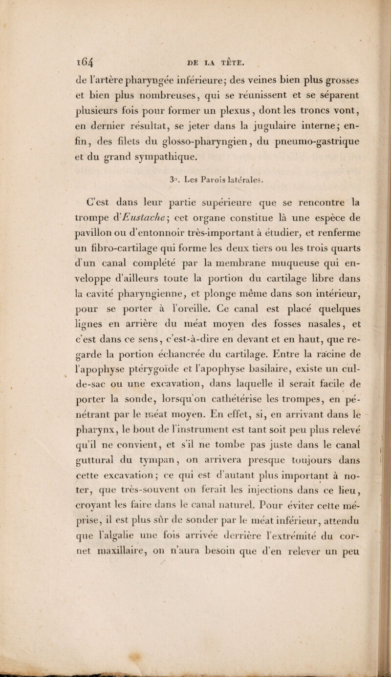 de F artère pharyngée inférieure; des veines bien plus grosses et bien plus nombreuses, qui se réunissent et se séparent plusieurs fois pour former un plexus, dont les troncs vont, en dernier résultat, se jeter dans la jugulaire interne; en¬ fin, des filets du glosso-pharyngien, du pneumo-gastrique et du grand sympathique. 3°. Les Pai ois latérales. C’est dans leur partie supérieure que se rencontre la trompe &Eustciche ; cet organe constitue là une espèce de pavillon ou d’entonnoir très-important à étudier, et renferme un fibro-cartilage qui forme les deux tiers ou les trois quarts d un canal complété par la membrane muqueuse qui en¬ veloppe d’ailleurs toute la portion du cartilage libre dans la cavité pharyngienne, et plonge même dans son intérieur, pour se porter à i’oreille. Ce canal est placé quelques lignes en arrière du méat moyen des fosses nasales, et c’est dans ce sens, c’est-à-dire en devant et en haut, que re¬ garde la portion échancrée du cartilage. Entre la racine de l’apophyse ptérygoïde et l’apophyse basilaire, existe un cul- de-sac ou une excavation, dans laquelle il serait facile de porter la sonde, lorsqu’on cathétérise les trompes, en pé¬ nétrant par le méat moyen. En effet, si, en arrivant dans le pharynx, le bout de l’instrument est tant soit peu plus relevé qu’il ne convient, et s’il ne tombe pas juste dans le canal guttural du tympan, on arrivera presque toujours dans cette excavation; ce qui est d’autant plus important à no¬ ter, que très-souvent on ferait les injections dans ce lieu, croyant les faire dans le canal naturel. Pour éviter cette mé¬ prise, il est plus sûr de sonder par le méat inférieur, attendu que 1 algalie une lois arrivée derrière l’extrémité du cor¬ net maxillaire, on n’aura besoin que d’en relever un peu