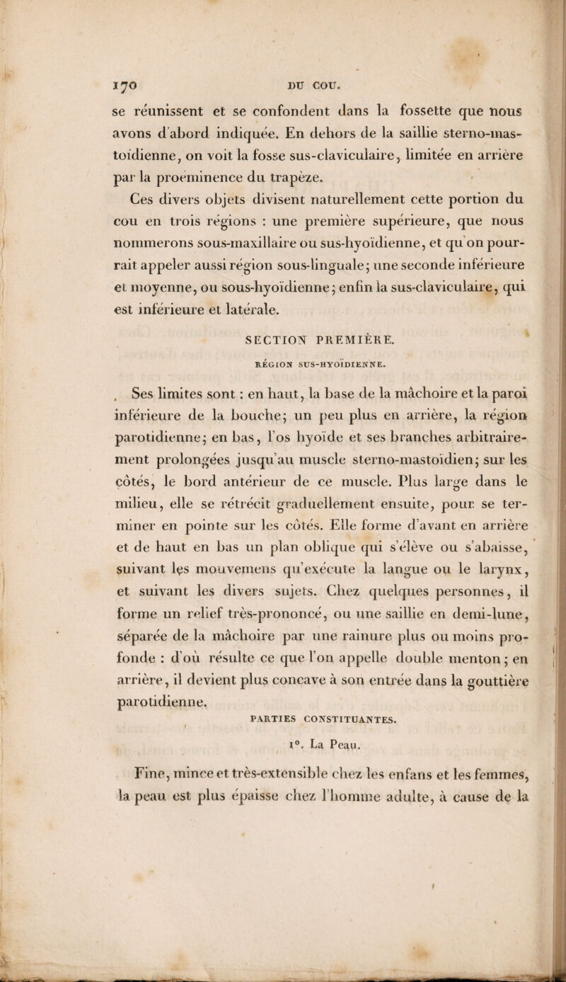 se réunissent et se confondent dans la fossette que nous avons d abord indiquée. En dehors de la saillie sterno-mas- toïdienne, on voit la fosse sus-claviculaire, limitée en arrière par la proéminence du trapèze. Ces divers objets divisent naturellement cette portion du cou en trois régions : une première supérieure, que nous nommerons sous-maxillaire ou sus-hyoïdienne, et qu on pour¬ rait appeler aussi région sous-linguale; une seconde inférieure et moyenne, ou sous-hyoïdienne ; enfin la sus-claviculaire, qui est inférieure et latérale. SECTION PREMIÈRE. RÉGION SUS-HYOÏDIENNE. Ses limites sont : en haut, la base de la mâchoire et la paroi inférieure de la bouche; un peu plus en arrière, la région parotidienne; en bas, fos hyoïde et ses branches arbitraire¬ ment prolongées jusqu’au muscle sterno-mastoïdien; sur les côtés, le bord antérieur de ce muscle. Plus large dans le milieu, elle se rétrécit graduellement ensuite, pour, se ter¬ miner en pointe sur les côtés. Elle forme d’avant en arrière et de haut en bas un plan oblique qui s’élève ou s’abaisse, suivant lçs mouvemens qu’exécute la langue ou le larynx, et suivant les divers sujets. Chez quelques personnes, il forme un relief très-prononcé, ou une saillie en demi-lune, séparée de la mâchoire par une rainure plus ou moins pro¬ fonde : d’où résulte ce que l’on appelle double menton ; en arrière, il devient plus concave à son entrée dans la gouttière parotidienne. PARTIES CONSTITUANTES. I i°. La Peau. * * * . 1 Fine, mince et très-extensible chez les enfans et les femmes, la peau est plus épaisse chez l’homme adulte, à cause de la