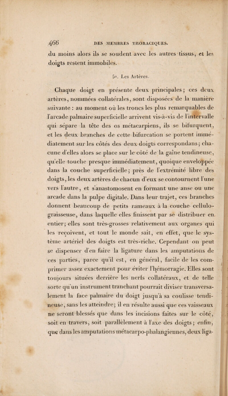 du moins alors ils se soudent avec les autres tissus, et les doigts restent immobiles. i 5°. Les Artères. Chaque doigt en présente deux principales ; ces deux artères, nommées collatérales, sont disposées de la manière suivante : au moment où les troncs les plus remarquables de l’arcade palmaire superficielle arrivent vis-à-vis de lintervalle qui sépare la tête des os métacarpiens, ils se bifurquent, et les deux branches de cette bifurcation se portent immé¬ diatement sur les cotés des deux doigts correspondans; cha¬ cune d’elles alors se place sur le côté de la gaine tendineuse, quelle touche presque immédiatement, quoique enveloppée dans la couche superficielle ; près de l’extrémité libre des doigts, les deux artères de chacun d’eux se contournent l une vers l’autre, et s’anastomosent en formant une anse ou une arcade dans la pulpe digitale. Dans leur trajet, ces branches donnent beaucoup de petits rameaux à la couche cellulo- graisseuse, dans laquelle elles finissent par se distribuer en- entier; elles sont très-grosses relativement aux organes qui les reçoivent, et tout le monde sait, en effet, que le sys¬ tème artériel des doigts est très-riche. Cependant on peut se dispenser d’en faire la ligature dans les amputations de ces parties, parce qu’il est, en général, facile de les com¬ primer assez exactement pour éviter l’hémorragie. Elles sont toujours situées derrière les nerfs collatéraux, et de telle sorte qu’un instrument tranchant pourrait diviser transversa¬ lement la face palmaire du doigt jusqu’à sa coulisse tendi¬ neuse, sans les atteindre; il en résulte aussi que ces vaisseaux ne seront blessés que dans les incisions faites sur le côté, soit en travers, soit parallèlement à l’axe des doigts; enfin, que dans les amputations métacarpo-phalangiennes, deux liga-