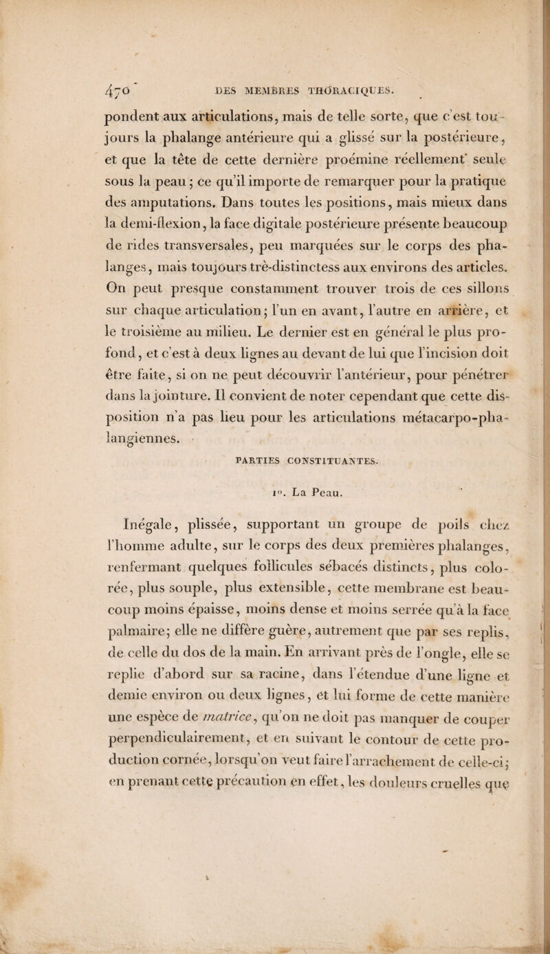 pondent aux articulations, mais de telle sorte, que c’est tou¬ jours la phalange antérieure qui a glissé sur la postérieure, et que la tête de cette dernière proéinine réellement' seule sous la peau ; ce qu’il importe de remarquer pour la pratique des amputations. Dans toutes les positions, mais mieux dans la demi-flexion, la face digitale postérieure présente beaucoup de rides transversales, peu marquées sur le corps des pha¬ langes, mais toujours trè-distinctess aux environs des articles. On peut presque constamment trouver trois de ces sillons sur chaque articulation; l’un en avant, l’autre en arrière, et le troisième au milieu. Le dernier est en général le plus pro¬ fond , et c’est à deux lignes au devant de lui que l’incision doit être faite, si on ne peut découvrir l’antérieur, pour pénétrer dans la jointure. 11 convient de noter cependant que cette dis¬ position n’a pas heu pour les articulations métacarpo-pha¬ langiennes. PARTIES CONSTITUANTES. i°. La Peau. Inégale, plissée, supportant un groupe de poils chez l’homme adulte, sur le corps des deux premières phalanges, renfermant quelques follicules sébacés distincts, plus colo¬ rée, plus souple, plus extensible, cette membrane est beau¬ coup moins épaisse, moins dense et moins serrée qu’à la face palmaire; elle ne diffère guère, autrement que par ses replis, de celle du dos de la main. En arrivant près de l’ongle, elle se replie d’abord sur sa racine, dans l’étendue d’une ligne et demie environ ou deux lignes, et lui forme de cette manière une espèce de matrice, qu’on ne doit pas manquer de couper perpendiculairement, et en suivant le contour de cette pro¬ duction cornée, lorsqu’on veut faire l’arrachement de celle-ci; en prenant cette précaution en effet, les douleurs cruelles quç