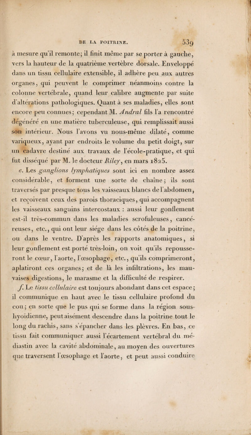 à mesure qu’il remonte; il finit même par se porter à gauclie, vers la hauteur de la quatrième vertèbre dorsale. Enveloppé dans un tissu cellulaire extensible, il adhère peu aux autres organes, qui peuvent le comprimer néanmoins contre la colonne vertébrale, quand leur calibre augmente par suite d’altérations pathologiques. Quant à ses maladies, elles sont encore peu connues; cependant M. Andral fils l’a rencontré dégénéré en une matière tuberculeuse, qui remplissait aussi son intérieur. Nous l’avons vu nous-même dilaté, comme variqueux, ayant par endroits le volume du petit doigt, sur un cadavre destiné aux travaux de l’école-pratique, et qui lut disséqué par M. le docteur Riley, en mars 1825. e. Les ganglions lymphatiques sont ici en nombre assez considérable, et forment une sorte de chaîne ; ils sont traversés par presque tous les vaisseaux blancs de l’abdomen, et reçoivent ceux des parois thoraciques, qui accompagnent les vaisseaux sanguins intercostaux : aussi leur gonflement est-il très-commun dans les maladies scrofuleuses, cancé¬ reuses, etc., qui ont leur siège dans les côtés de la poitrine, ou dans le ventre. D’après les rapports anatomiques, si leur gonflement est porté très-loin, on voit qu’ils repousse¬ ront le cœur, l’aorte, l’œsophage, etc., qu’ils comprimeront, aplatiront ces organes; et de là les infiltrations, les mau¬ vaises digestions, le marasme et la, difficulté de respirer. f. Le tissu cellulaire est toujours abondant dans cet espace; il communique en haut avec le tissu cellulaire profond du cou ; en sorte que le pus qui se forme dans la région sous- hyoïdienne, peut aisément descendre dans la poitrine tout le long du rachis, sans s’épancher dans les plèvres. En bas, ce tissu fait communiquer aussi l’écartement vertébral du mé- diastin avec la cavité abdominale, au moyen des ouvertures que traversent l’œsophage et l’aorte, et peut aussi conduire