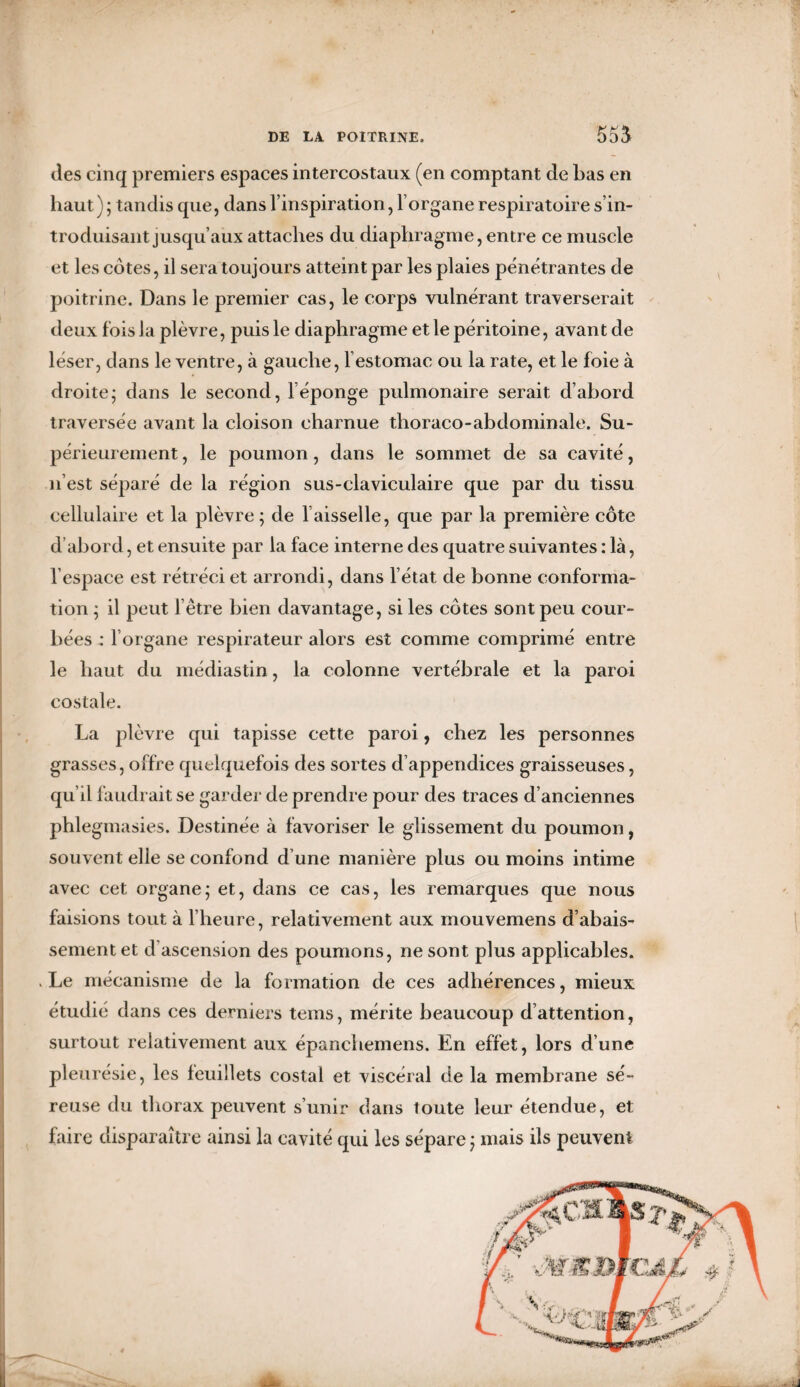 555 des cinq premiers espaces intercostaux (en comptant de bas en haut) ; tandis que, dans l’inspiration, 1 organe respiratoire s’in¬ troduisant jusqu’aux attaches du diaphragme, entre ce muscle et les côtes, il sera toujours atteint par les plaies pénétrantes de poitrine. Dans le premier cas, le corps vulnérant traverserait deux fois la plèvre, puis le diaphragme et le péritoine, avant de léser, dans le ventre, à gauche, 1 estomac ou la rate, et le foie à droite ; dans le second, l’éponge pulmonaire serait d’abord traversée avant la cloison charnue thoraco-abdominale. Su¬ périeurement , le poumon, dans le sommet de sa cavité, n’est séparé de la région sus-claviculaire que par du tissu cellulaire et la plèvre ; de faisselle, que par la première côte d’abord, et ensuite par la face interne des quatre suivantes : là, l’espace est rétréci et arrondi, dans l’état de bonne conforma¬ tion ; il peut l’être bien davantage, si les côtes sont peu cour¬ bées : l’organe respirateur alors est comme comprimé entre le haut du médiastin, la colonne vertébrale et la paroi costale. La plèvre qui tapisse cette paroi, chez les personnes grasses, offre quelquefois des sortes d’appendices graisseuses, qu’il faudrait se garder de prendre pour des traces d’anciennes phlegmasies. Destinée à favoriser le glissement du poumon, souvent elle se confond d’une manière plus ou moins intime avec cet organe; et, dans ce cas, les remarques que nous faisions tout à l’heure, relativement aux mouvemens d’abais¬ sement et d ascension des poumons, ne sont plus applicables. . Le mécanisme de la formation de ces adhérences, mieux étudié dans ces derniers teins, mérite beaucoup d’attention, surtout relativement aux épanchemens. En effet, lors d’une pleurésie, les feuillets costal et viscéral de la membrane sé¬ reuse du thorax peuvent s’unir dans toute leur étendue, et faire disparaître ainsi la cavité qui les sépare ; mais ils peuvent • -, :