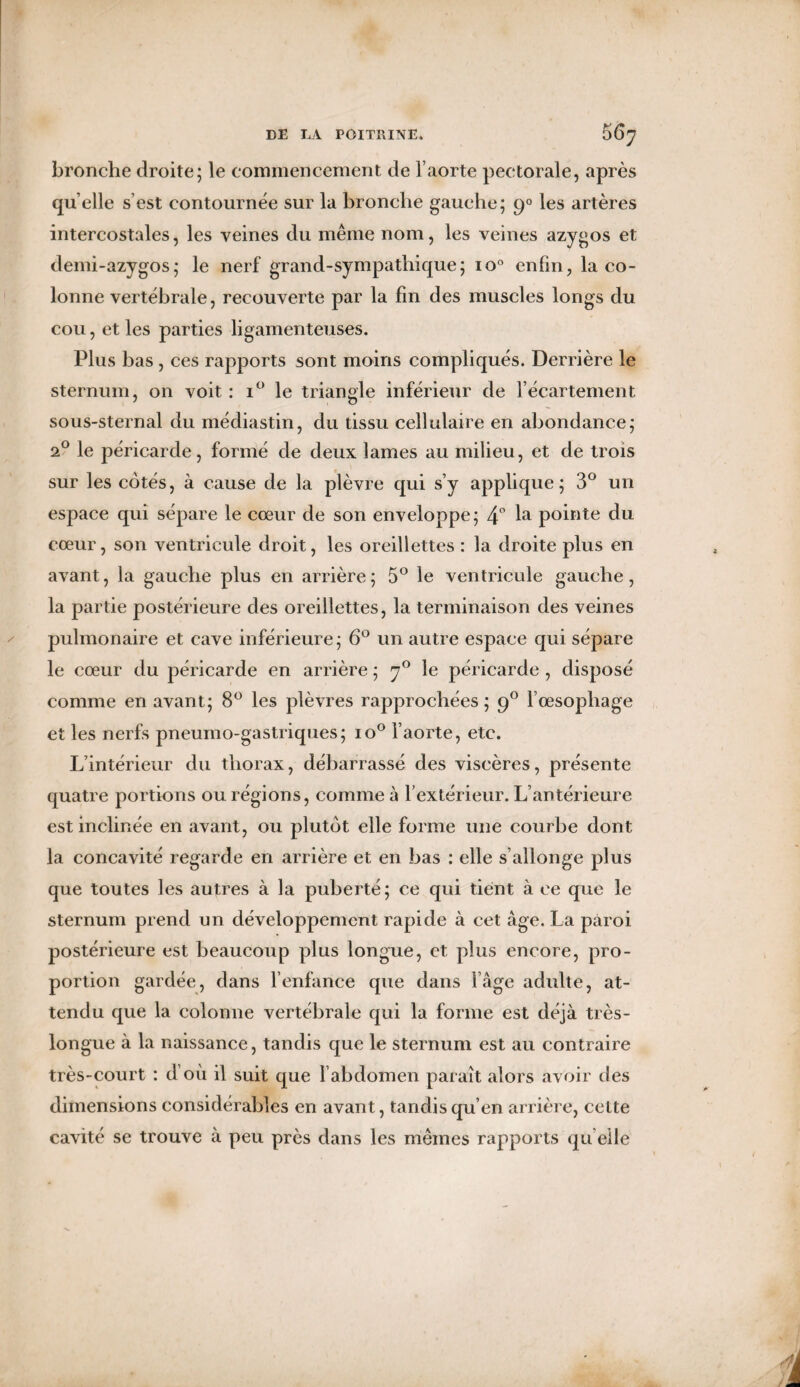 bronche droite; le commencement de l’aorte pectorale, après quelle s’est contournée sur la bronche gauche; 90 les artères intercostales, les veines du même nom, les veines azygos et demi-azygos; le nerf grand-sympathique; io° enfin, la co¬ lonne vertébrale, recouverte par la fin des muscles longs du cou, et les parties ligamenteuses. Plus bas , ces rapports sont moins compliqués. Derrière le sternum, on voit: i° le triangle inférieur de l’écartement sous-sternal du médiastin, du tissu cellulaire en abondance; 20 le péricarde, formé de deux lames au milieu, et de trois sur les cotés, à cause de la plèvre qui s’y applique; 3° un espace qui sépare le cœur de son enveloppe; 4° la pointe du cœur, son ventricule droit, les oreillettes : la droite plus en avant, la gauche plus en arrière; 5° le ventricule gauche, la partie postérieure des oreillettes, la terminaison des veines pulmonaire et cave inférieure; 6° un autre espace qui sépare le cœur du péricarde en arrière ; y° le péricarde , disposé comme en avant; 8° les plèvres rapprochées ; g° l’œsophage et les nerfs pneumo-gastriques; io° l’aorte, etc. L’intérieur du thorax, débarrassé des viscères, présente quatre portions ou régions, comme à l’extérieur. L’antérieure est inclinée en avant, ou plutôt elle forme une courbe dont la concavité regarde en arrière et en bas : elle s’allonge plus que toutes les autres à la puberté; ce qui tient à ce que le sternum prend un développement rapide à cet âge. La paroi postérieure est beaucoup plus longue, et plus encore, pro¬ portion gardée, dans l’enfance que dans l’âge adulte, at¬ tendu que la colonne vertébrale qui la forme est déjà très- longue à la naissance, tandis que le sternum est au contraire très-court : d’où il suit que l’abdomen paraît alors avoir des dimensions considérables en avant, tandis qu’en arrière, celte cavité se trouve à peu près dans les mêmes rapports qu elle