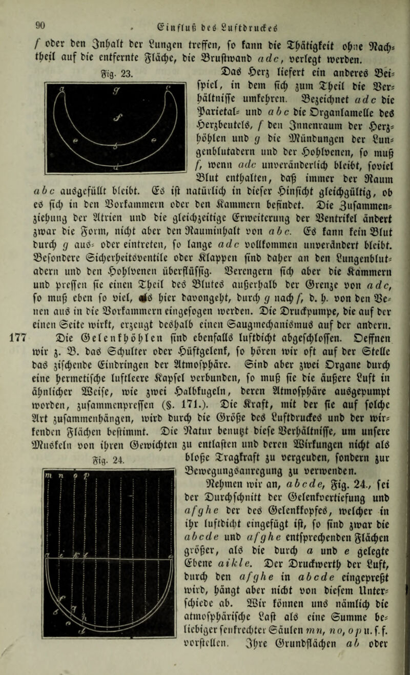 ©tnfluf. bc6 Suftbrucfeö f Ober ben bev l^ungen treffen, fo fann bie X^dtigfeit o^ne 9?acf;* tfjeit auf bic entfernte gtäcfjc, bie Srufiwanb ade, »ertegt Serben, Daö ^)erj liefert ein anbereö Sci= fpiei, in bem ftc^ juin 2:f>ei( bie Sers ^äitniffe uinfe^ren. S3ejeict;net ade bic 'yarietat* unb abc bie Organlametie beö ^)er3bcutcl0, f ben 3>inenrauin ber ^erj* böfjlen unb (j bic 'I>?ünbungcn ber f^un^ genbiutabern unb ber ^)of>Iöencn, fo mug f, «?cnn ade unoeränberliib bleibt, fovicl Ölut entfjalten, ba^ immer ber 9^aum abc aubgcfüüt bleibt. (Jö ift natüvlid) in biefer .£)infid)t gleichgültig, ob cö ftch in ben Sßorfammevn ober ben Kammern befinbet. X)ie 3ufammens jieljung ber Sltrien unb bie gleichjeitige ermcitcrung ber 5ßentrifel änbert jmar bie goim, nicl;t aber ben 9tauminbatt von abe. Q<i fann fein ©lut burch g auö* ober eintreten, fo lange ade oollfommen unoerclnbert bleibt, ©cfonbere 6icl)erhcitöbentite ober Etappen ftnb ba^er an ben flungenblut* abern unb ben ^)ohl»cnen überPüfftg. Verengern pd; aber bie Kammern unb pvePen pe einen ©luted aupcrhalb ber (Srenje oon ade, fo mup eben fo oiel, nfp hier baoongeht, burd; g nach/’, b. h- »on ben ©e* nen aud in bie ©orfammern eingefogen merben. 2)ie 2)rucfpumpe, bie auf ber einen Seite mirft, erjeugt bcch-^ll» Saugmcchanidmud auf ber anbern. 177 2)ic ©elcnfhöhlen P«b ebcnfaüd luftbicht abgefchloffcn. Deffncn mir j. ©. baeJ Schulter ober ^)üftgclcnf, fo hören mir oft auf ber Stelle baö gifchenbe Einbringen ber Sltmofphärc. Sinb aber jmei Organe burch eine hermetifche luftleere Äapfel oerbunben, fo mup pe bie aupere ?uft in ähnlicher Sßeifc, mie jmei ^)albfugcln, beren Sltmofphäre ouögepumpt morben, jufammenprepen (§. 171.). 2)ie Äraft, mit ber pc auf folchc 2lrt jufammenhängen, mirb burch bie ©röpe bed üuftbrudeö unb ber mir* fenben glächen beftimmt. Oie )J?atur benu^t biefe ©erhältnipe, um unfere Htuefcln oon ihren ©emichten ju entlaPen unb beren ©>irfungcn nicht alö blope Oragfraft ju oergeuben, fonbern jur ©emegungdanregung ju »ermenben. 91ehmcn mir an, abe de, gig. 24., fei ber Ourchfehnitt ber ©clenfocrtiefung unb afghe ber bed ©clcnffopfed, melchcr in ihr luf(bid)t eingefügt ip, fo pnb jmar bic abe de unb afghe cntfprechenben glächen gvöpcr, ald bie burch « unb e gelegte Ebene aikle. ©er ©ruefmerth ber Cuft, burch ben afghe in abede cingeprept mirb, hängt aber nicht von biefem Unter* fepiebe ab. 2Bir fönnen und nämlich bic atmofphärifd;e ÜaP ald eine Summe bc* licbigerfciifrcchtei Säulen m«, no, o/Mt.f.f. vorftcllcn. 3hve ©runbpächen ab ober m- 24. »ig- 23.