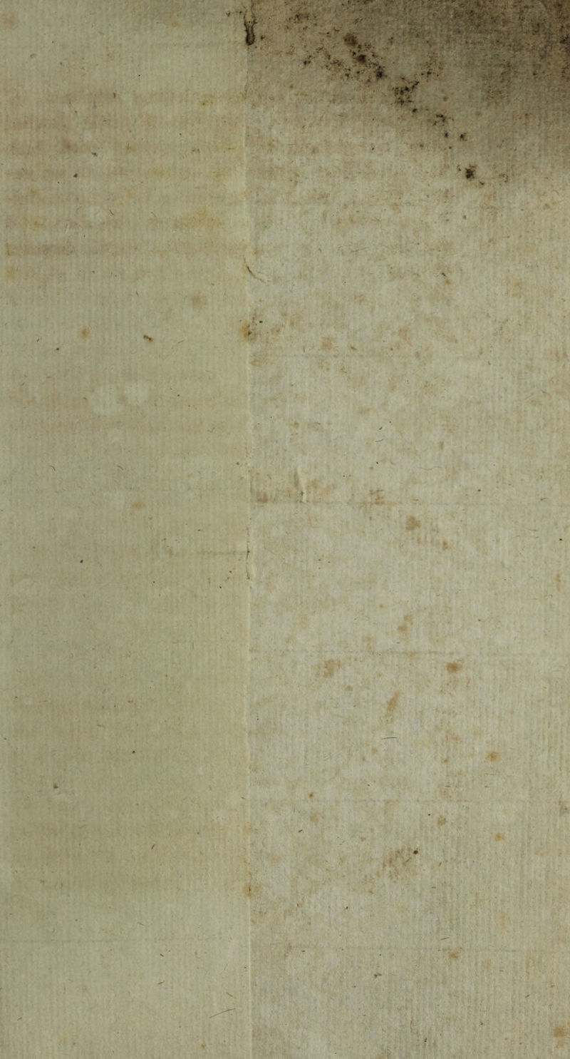 f f *■ > v • ' T-?,* >:*f- ■8T- * 1 *#i Fo 1 ' * €