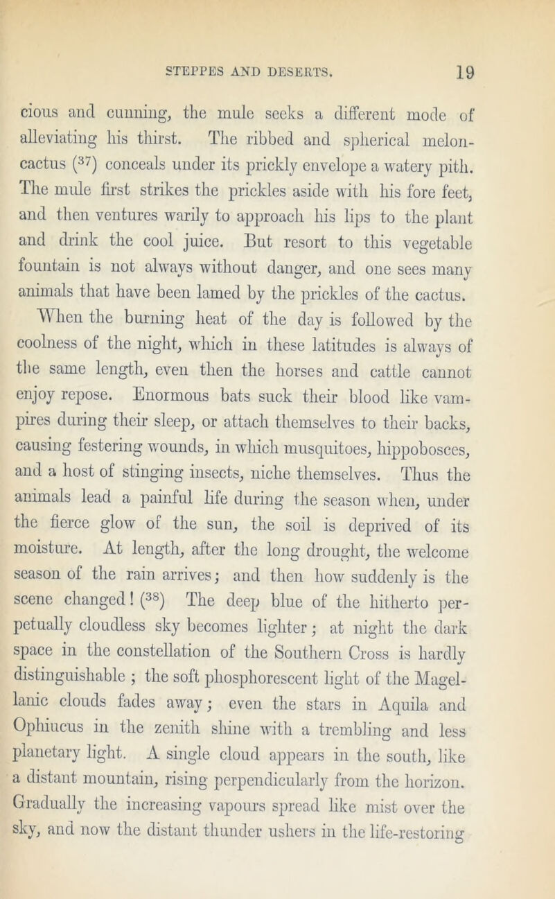 cious and cunning, the mule seeks a different mode of alleviating his thirst. The ribbed and spherical melon- cactus (37) conceals under its prickly envelope a watery pith. The nude first strikes the prickles aside with his fore feet, and then ventures warily to approach his lips to the plant and drink the cool juice. But resort to this vegetable fountain is not always without danger, and one sees many animals that have been lamed by the prickles of the cactus. When the burning heat of the day is followed by the coolness of the night, which in these latitudes is alwavs of V the same length, even then the horses and cattle cannot enjoy repose. Enormous bats suck their blood like vam- pires during their sleep, or attach themselves to their backs, causing festering wounds, in winch musquitoes, hippobosces, and a host of stinging insects, niche themselves. Thus the animals lead a painful life during the season when, under the fierce glow of the sun, the soil is deprived of its moisture. At length, after the long drought, the welcome season of the rain arrives; and then how suddenly is the scene changed! (3S) The deep blue of the hitherto per- petually cloudless sky becomes lighter; at night the dark space in the constellation of the Southern Cross is hardly distinguishable ; the soft phosphorescent light of the Magel- lanic clouds fades away; even the stars in Aquila and Ophiucus in the zenith shine with a trembling and less planetary light. A single cloud appears in the south, like a distant mountain, rising perpendicularly from the horizon. adually the increasing vapours spread like mist over the sky, and now the distant thunder ushers in the life-restoring