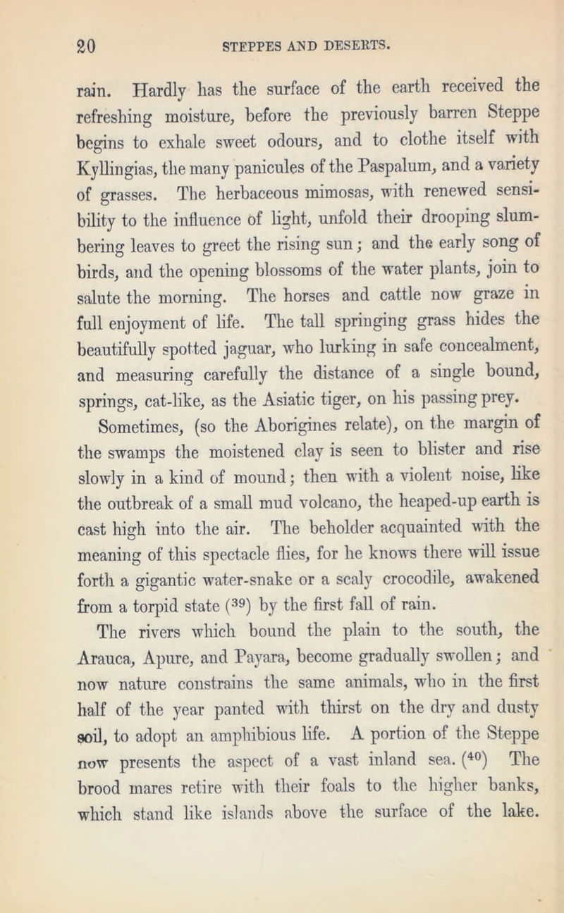 rain. Hardlv has the surface of the earth received the refreshing moisture, before the previously barren Steppe begins to exhale sweet odours, and to clothe itself wdth Kyllingias, the many panicules of the Paspalum, and a variety of grasses. The herbaceous mimosas, with renewed sensi- bility to the influence of light, unfold their drooping slum- bering leaves to greet the rising sun; and the early song of birds, and the opening blossoms of the water plants, join to salute the morning. The horses and cattle now graze in full enjoyment of life. The tall springing grass hides the beautifully spotted jaguar, who lurking in safe concealment, and measuring carefully the distance of a single bound, springs, cat-like, as the Asiatic tiger, on his passing prey. Sometimes, (so the Aborigines relate), on the margin of the swamps the moistened clay is seen to blister and rise slowly in a kind of mound; then with a violent noise, like the outbreak of a small mud volcano, the heaped-up earth is cast high into the air. The beholder acquainted with the meaning of this spectacle flies, for he knows there will issue forth a gigantic water-snake or a scaly crocodile, awakened from a torpid state (39) by the first fall of rain. The rivers which bound the plain to the south, the Arauca, Apure, and Payara, become gradually swollen; and now nature constrains the same animals, who in the first half of the year panted with thirst on the dry and dusty soil, to adopt an amphibious life. A portion of the Steppe now presents the aspect of a vast inland sea. (40) The brood mares retire with their foals to the higher banks, which stand like islands above the surface of the lake.