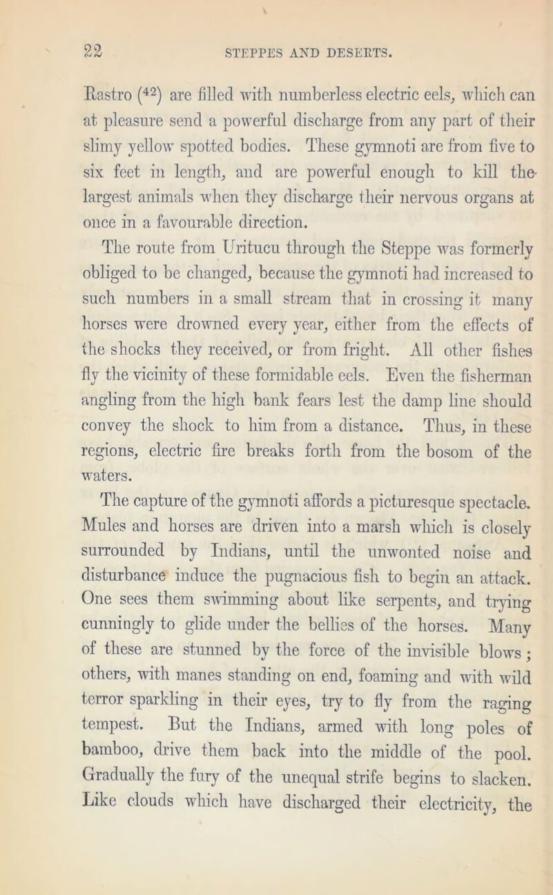 Bastro (42) are filled with numberless electric eels, which can at pleasure send a powerful discharge from any part of their slimy yellow spotted bodies. These gymnoti are from five to six feet in length, and are powerful enough to kill the- largest animals when they discharge their nervous organs at once in a favourable direction. The route from Uritucu through the Steppe was formerly obliged to be changed, because the gymnoti had increased to such numbers in a small stream that in crossing it many horses were drowned every year, either from the effects of the shocks they received, or from fright. All other fishes fly the vicinity of these formidable eels. Even the fisherman angling from the high bank fears lest the damp line should convey the shock to him from a distance. Thus, in these regions, electric fire breaks forth from the bosom of the waters. The capture of the gymnoti affords a picturesque spectacle. Mules and horses are driven into a marsh which is closely surrounded by Indians, until the unwonted noise and disturbance induce the pugnacious fish to begin an attack. One sees them swimming about like serpents, and trying cunningly to glide under the bellies of the horses. Many of these are stunned by the force of the invisible blows; others, with manes standing on end, foaming and with wild terror sparkling in their eyes, try to fly from the raging tempest. But the Indians, armed with long poles of bamboo, drive them back into the middle of the pool. Gradually the fury of the unequal strife begins to slacken. Like clouds which have discharged their electricity, the