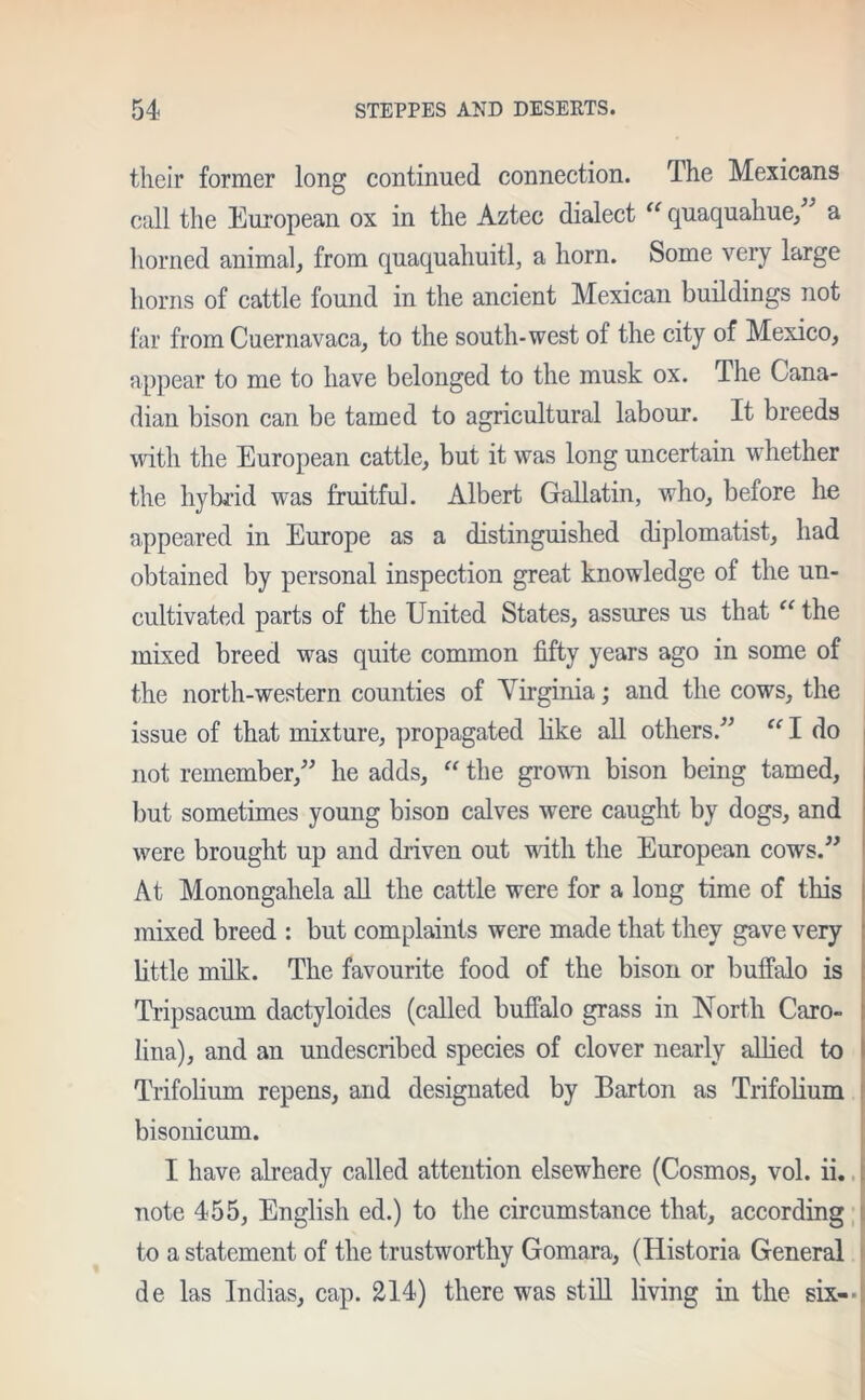 their former long continued connection. The Mexicans call the European ox in the Aztec dialect “ quaquahue, a horned animal, from quaquahuitl, a horn. Some very large horns of cattle found in the ancient Mexican buildings not far from Cuernavaca, to the south-west of the city of Mexico, appear to me to have belonged to the musk ox. The Cana- dian bison can be tamed to agricultural labour. It breeds with the European cattle, but it was long uncertain whether the hybrid was fruitful. Albert Gallatin, who, before he appeared in Europe as a distinguished diplomatist, had obtained by personal inspection great knowledge of the un- cultivated parts of the United States, assures us that “ the mixed breed was quite common fifty years ago in some of the north-western counties of Virginia; and the cows, the issue of that mixture, propagated like all others/' “ I do not remember, he adds, “ the grown bison being tamed, but sometimes young bison calves were caught by dogs, and were brought up and driven out with the European cows. At Monongahela all the cattle were for a long time of this mixed breed : but complaints were made that they gave very little milk. The favourite food of the bison or buffalo is Tripsacum dactyloides (called buffalo grass in North Caro- lina), and an undescribed species of clover nearly allied to Trifolium repens, and designated by Barton as Trifolium bisonicum. I have already called attention elsewhere (Cosmos, vol. ii. note 455, English ed.) to the circumstance that, according to a statement of the trustworthy Gomara, (Historia General de las Indias, cap. 214) there was still living in the six--!