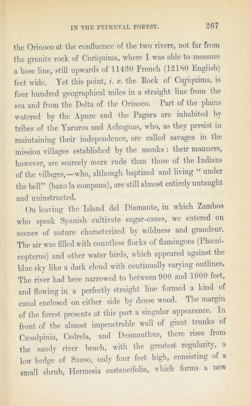 the Orinoco at the confluence of the two rivers, not far from the granite rock of Curiquima, where I was able to measure a base line, still upwards of 11430 French (12180 English) feet wide. Yet this point, i. 6. the Pock of Cuiicpnma, is four hundred geographical miles in a straight line from the sea and from the Delta of the Orinoco. Part of the plains watered by the Apure and the Pagara are inhabited by tribes of the Yaruros and Achaguas, who, as they persist in maintaining their independence, are called savages in the mission villages established by the monks : their manners, however, are scarcely more rude than those of the Indians of the villages,—who, although baptized and living “ under the bell” (baxo la compana), are still almost entirely untaught and uninstructed. On leaving the Island del Diamante, in which Zambos who speak Spanish cultivate sugar-canes, we entered on scenes of nature characterized by wildness and grandeur. The air was filled with countless flocks of flamingoes (Phoeni- copterus) and other water birds, which appeared against the blue sky like a dark cloud with continually varying outlines. The river had here narrowed to between 900 and 1000 feet, and flowing in a perfectly straight line formed a kind of canal enclosed on either side by dense wood. The margin of the forest presents at this part a singular appearance. In front of the almost impenetrable wall of giant trunks of Cfiesalpinia, Cedrela, and Desmanthus, there rises from the sandy river beach, with the greatest regularity, a low hedge of Sauso, only four feet high, consisting of a small shrub, Hermesia castaneifolia, which forms a new