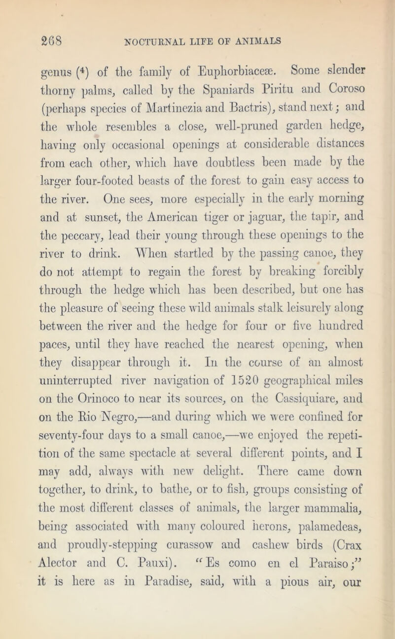genus (4) of the family of Euphorbiacese. Some slender thorny palms, called by the Spaniards Piritu and Coroso (perhaps species of Mari inezia and Bactris), stand next; and the whole resembles a close, well-pruned garden hedge, having only occasional openings at considerable distances from each other, which have doubtless been made by the larger four-footed beasts of the forest to gain easy access to the river. One sees, more especially in the early morning and at sunset, the American tiger or jaguar, the tapir, and the peccary, lead their young through these openings to the river to drink. When startled by the passing canoe, they do not attempt to regain the forest by breaking forcibly through the hedge which has been described, but one has the pleasure of seeing these wild animals stalk leisurely along between the river and the hedsre for four or five hundred O paces, until they have reached the nearest opening, when they disappear through it. In the course of an almost uninterrupted river navigation of 1520 geographical miles on the Orinoco to near its sources, on the Cassiquiare, and on the Rio Negro,—and during which we were confined for seventy-four days to a small canoe,—we enjoyed the repeti- tion of the same spectacle at several different points, and I may add, always with new delight. There came down together, to drink, to bathe, or to fish, groups consisting of the most different classes of animals, the larger mammalia, being associated with many coloured herons, palamedeas, and proudly-stepping curassow and cashew birds (Crax Alector and C. Pauxi). “Es como en el Paraiso ” it is here as in Paradise, said, with a pious air, our