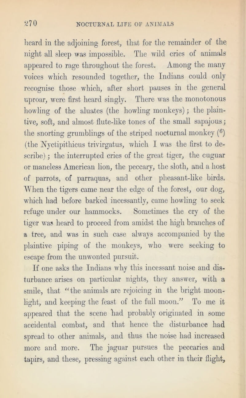 heard in the adjoining forest, that for the remainder of the night all sleep was impossible. The wild cries of animals appeared to rage throughout the forest. Among the many voices which resounded together, the Indians could only recognise those which, after short pauses in the general uproar, were first heard singly. There was the monotonous howling of the aluates (the howling monkeys); the plain- tive, soft, and almost flute-like tones of the small sapajous; the snorting grumblings of the striped nocturnal monkey (6) (the Nyc-tipithicus trivirgatus, which I was the first to de- scribe) ; the interrupted cries of the great tiger, the cuguar or maneless American lion, the peccary, the sloth, and a host of parrots, of parraquas, and other pheasant-like birds. When the tigers came near the edge of the forest, our dog, which had before barked incessantly, came howling to seek refuge under our hammocks. Sometimes the cry of the tiger was heard to proceed from amidst the high branches of a tree, and was in such case always accompanied by the plaintive piping of the monkeys, who were seeking to escape from the unwonted pursuit. If one asks the Indians why this incessant noise and dis- turbance arises on particular nights, they answer, with a smile, that “the animals are rejoicing in the bright moon- light, and keeping the feast of the full moon.” To me it appeared that the scene had probably originated in some accidental combat, and that hence the disturbance had spread to other animals, and thus the noise had increased more and more. The jaguar pursues the peccaries and tapirs, and these, pressing against each other in their flight.