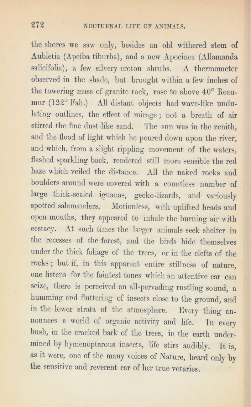the shores we saw only, besides an old withered stem of Aubletia (Apeiba tiburba), and a new Apocinea (Allamanda salicifolia), a few silvery croton shrubs. A thermometer observed in the shade, but brought within a few inches of the towering mass of granite rock, rose to above 40° Reau- mur (122° hah.) All distant objects had wave-like undu- lating outlines, the effect of mirage; not a breath of air stirred the fine dust-like sand. The sun was in the zenith, and the flood ot light which he poured down upon the river, and which, from a slight rippling movement of the waters, flashed sparkling back, rendered still more sensible the red haze which veiled the distance. All the naked rocks and boulders around were covered with a countless number of large thick-scaled iguanas, gecko-lizards, and variously spotted salamanders. Motionless, with uplifted heads and open mouths, they appeared to inhale the burning air with ecstacy. At such times the larger animals seek shelter in the recesses of the forest, and the birds hide themselves under the thick foliage of the trees, or in the clefts of the rocks; but if, in this apparent entire stillness of nature, one listens for the faintest tones which an attentive ear can seize, there is perceived an all-pervading rustling sound, a humming and fluttering of insects close to the ground, and in the lower strata of the atmosphere. Every thing an- nounces a world of organic activity and life. In every bush, m the cracked bark of the trees, m the earth under- mined by hymcnopterous insects, life stirs audibly. It is, as it were, one of the many voices of Nature, heard only by the sensitive and reverent ear of her true votaries.