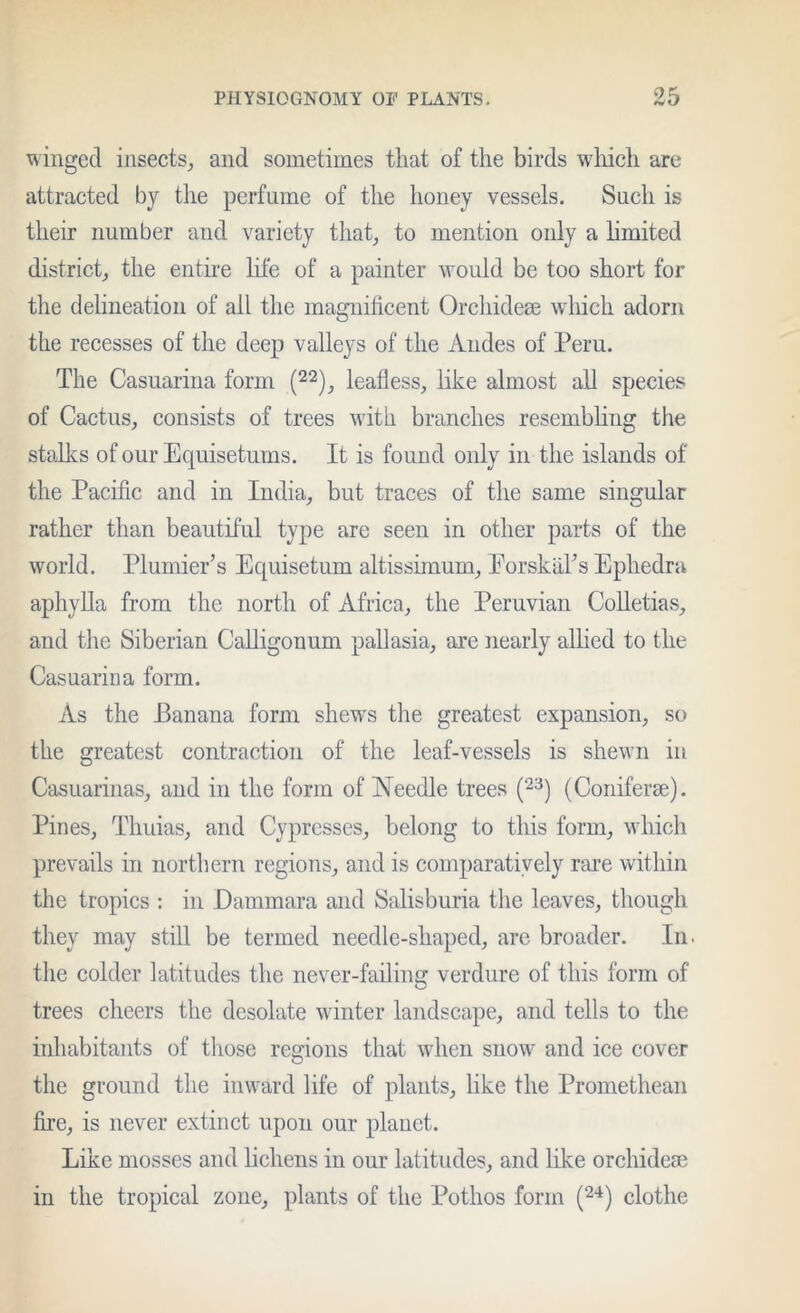 winged insects^ and sometimes that of the birds whicli are attracted by tlie perfume of the honey vessels. Such is their number and variety that, to mention only a limited district, the entire life of a painter would be too short for the delineation of all the magnificent Orchidese which adorn the recesses of the deep valleys of the Andes of Peru. The Casuarina form (22)^ leafless, like almost all species of Cactus, consists of trees with branches resembling the stallcs of our Equisetums. It is found only in the islands of the Pacific and in India, but traces of the same singular rather than beautiful type are seen in other parts of the world. PlumiePs Equisetum altissimum, EorskiiFs Ephedra aphyUa from the north of Africa, the Peruvian CoUetias, and the Siberian Calligonum pallasia, are nearly alhed to the Casuarina form. As the Banana form shews the greatest expansion, so the greatest contraction of the leaf-vessels is shewn in Casuarinas, and in the form of Needle trees (23) (Coniferae). Pines, Thuias, and Cypresses, belong to this form, which prevails in northern regions, and is comparatively rai’e within the tropics : in Eammara and Salisburia the leaves, though they may still be termed needle-shaped, are broader. In. the colder latitudes the never-failing verdure of this form of trees cheers the desolate winter landscape, and tells to the inhabitants of those regions that when snow and ice cover the ground the inward life of plants, like the Promethean fire, is never extinct upon our plauet. Like mosses and lichens in our latitudes, and like orehidese in the tropical zone, plants of the Pothos form (2“*) clothe