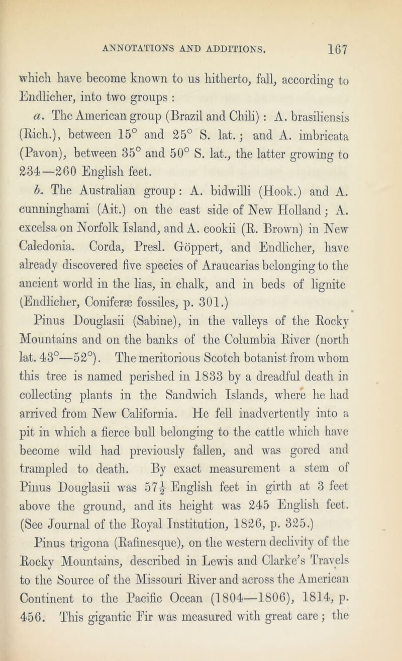 which have become known to us hitherto, fall, according to Endlicher, into two groups : a. The American group (Brazil and Chili) : A. brasiliensis (Rich.), between 15° and 25° S. lat.; and A. imbricata (Pavon), between 35° and 50° S. lat,, the latter growing to 234—260 English feet. h. The Australian group : A. bidwiUi (Hook.) and A. eunninghami (Ait.) on the east side of New Holland; A. excelsa on Norfolk Island, and A. cookii (R. Brown) in New Caledonia. Corda, Presl. Goppert, and Endlicher, have already discovered five species of Araucarias belonging to the ancient world in the lias, in chalk, and in beds of lignite (Endlicher, Coniferm fossiles, p. 301.) Pinus Douglasii (Sabine), in the valleys of the Rocky Mountains and on the banks of the Columbia River (north lat- 43°—52°). The meritorious Scotch botanist from whom tliis tree is named perished in 1833 by a dreadful death in collecting plants in the Sandwich Islands, where he had arrived from New California. He feU inadvertently into a pit in which a fierce bull belonging to the cattle which have become nild had previously fallen, and was gored and trampled to death. By exact measurement a stem of Pinus Douglasii was 57^ English feet in girth at 3 feet above the ground, and its height was 245 English feet. (See Journal of the Royal Institution, 1826, p. 325.) Pinus trigona (Rafinesque), on the western declivity of the Rocky Mountains, described in Lewis and darkens Travels to the Source of the Missouri River and across the American Continent to the Pacific Ocean (1804—1806), 1814, p. 456. Tills gigantic Eir was measured with great care ; the