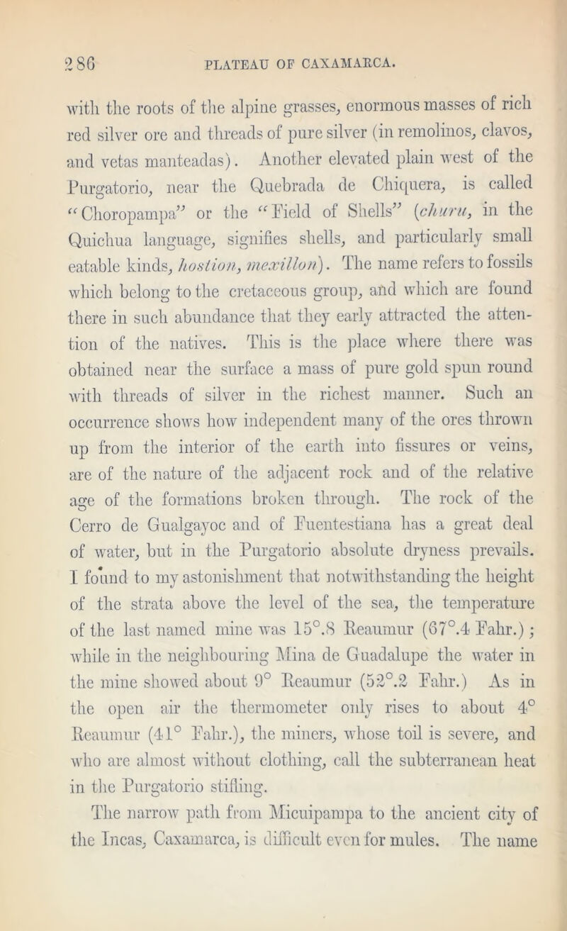 with the roots of tlie alpine grasses, enormous masses of rich red silver ore and threads of pure silver (in remoliiios, clavos, and vetas manteadas). Another elevated plain Avest of the Purffatono, near the Quebrada de Chic[uera, is called Choropampa’'’ or the ‘^^Pield of Shells’'’ {churu, in the Quichua language, signifies shells, and particularly small eatable kinds, hostion, mexillon). The name refers to fossils which belong to the cretaceous group, and which are found there in such abundance that they early attracted the atten- tion of the natives. This is the ]3lace where there was obtained near the surface a mass of pure gold spun round with threads of silver in the richest manner. Such an occurrence shows how independent many of the ores thrown up from the interior of the earth into fissures or veins, are of the nature of the adjacent rock and of the relative acre of the formations broken through. The rock of the Cerro de Gualgayoc and of Puentestiana has a great deal of water, but in the Purgatorio absolute dryness prevails. I found to my astonishment that iiotwithstanding the height of the strata above the level of the sea, the temperatiu’e of the last named mine Avas 15°.8 Eeaumur (67°.4< Pahr.); Avhile in the neighbouring IMina de Guadalupe the Avater in the mine shoAA'ed about 9° Eeaumur (5:1°.2 Pahr.) As in the open air the thermometer only rises to about 4° Eeaumur (41° Pahr.), the miners, Avhose toil is severe, and Avho are almost Avithout clothing, call the subterranean heat in tlie Purgatorio stifling. The naiTOAV path fium Micuiparapa to the ancient city of the Incas, Caxamarca, is difficult even for mules. The name