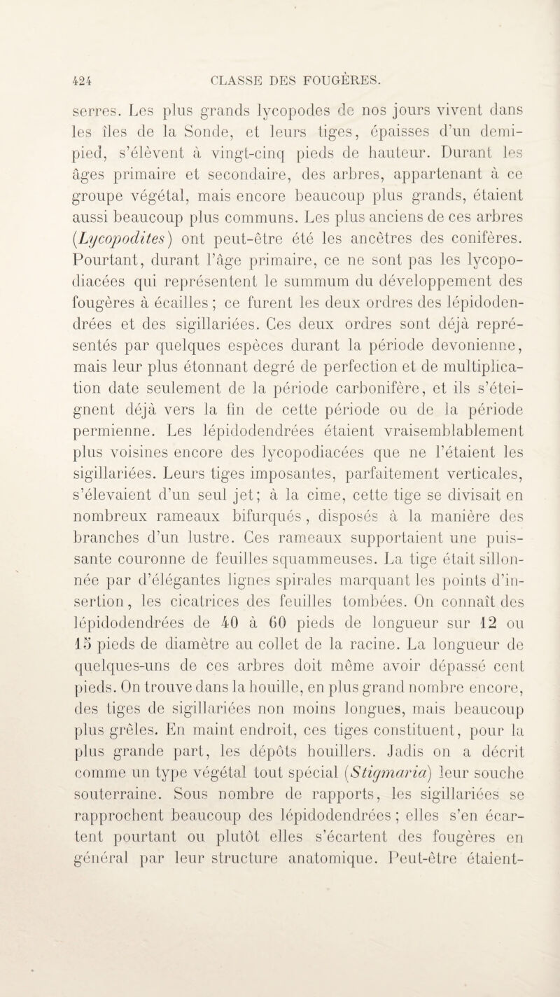 serres. Les plus grands lycopodes de nos jours vivent dans les îles de la Sonde, et leurs tiges, épaisses d’un demi- pied, s’élèvent à vingt-cinq pieds de hauteur. Durant les âges primaire et secondaire, des arbres, appartenant à ce groupe végétal, mais encore beaucoup plus grands, étaient aussi beaucoup plus communs. Les plus anciens de ces arbres (.Lycopodites) ont peut-être été les ancêtres des conifères. Pourtant, durant l’âge primaire, ce ne sont pas les lycopo- diacées qui représentent le summum du développement des fougères à écailles ; ce furent les deux ordres des lépidoden- drées et des sigillariées. Ces deux ordres sont déjà repré¬ sentés par quelques espèces durant la période devonienne, mais leur plus étonnant degré de perfection et de multiplica¬ tion date seulement de la période carbonifère, et ils s’étei¬ gnent déjà vers la fin de cette période ou de la période permienne. Les lépidodendrées étaient vraisemblablement plus voisines encore des lyeopodiacées que ne l’étaient les sigillariées. Leurs tiges imposantes, parfaitement verticales, s’élevaient d’un seul jet; à la cime, cette tige se divisait en nombreux rameaux bifurqués , disposés à la manière des branches d’un lustre. Ces rameaux supportaient une puis¬ sante couronne de feuilles squammeuses. La tige était sillon¬ née par d’élégantes lignes spirales marquant les points d’in¬ sertion , les cicatrices des feuilles tombées. On connaît des lépidodendrées de 40 à GO pieds de longueur sur 12 ou 15 pieds de diamètre au collet de la racine. La longueur de quelques-uns de ces arbres doit même avoir dépassé cent pieds. On trouve dans la houille, en plus grand nombre encore, des tiges de sigillariées non moins longues, mais beaucoup plus grêles. En maint endroit, ces tiges constituent, pour la plus grande part, les dépôts bouillers. Jadis on a décrit comme un type végétal tout spécial (Stigmaria) leur souche souterraine. Sous nombre de rapports, les sigillariées se rapprochent beaucoup des lépidodendrées ; elles s’en écar¬ tent pourtant ou plutôt elles s’écartent des fougères en général par leur structure anatomique. Peut-être étaient-