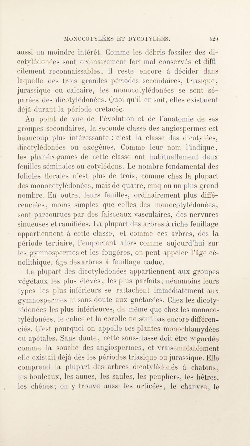 aussi un moindre intérêt. Comme les débris fossiles des di- cotylédonées sont ordinairement fort mal conservés et diffi¬ cilement reconnaissables, il reste encore à décider dans laquelle des trois grandes périodes secondaires, triasique, jurassique ou calcaire, les monocotylédonées se sont sé¬ parées des dicotylédonées. Quoi qu’il en soit, elles existaient déjà durant la période crétacée. Au point de vue de l’évolution et de l’anatomie de ses groupes secondaires, la seconde classe des angiospermes est beaucoup plus intéressante : c’est la classe des dicotylées, dicotylédonées ou exogènes. Comme leur nom l’indique, les phanérogames de cette classe ont habituellement deux feuilles séminales ou cotylédons. Le nombre fondamental des folioles florales n’est plus de trois, comme chez la plupart des monocotylédonées, mais de quatre, cinq ou un plus grand nombre. En outre, leurs feuilles, ordinairement plus diffé¬ renciées, moins simples que celles des monocotylédonées, sont parcourues par des faisceaux vasculaires, des nervures sinueuses et ramifiées. La plupart des arbres à riche feuillage appartiennent à cette classe, et comme ces arbres, dès la période tertiaire, l’emportent alors comme aujourd’hui sur les gymnospermes et les fougères, on peut appeler l’âge cé- nolithique, âge des arbres à feuillage caduc. La plupart des dicotylédonées appartiennent aux groupes végétaux les plus élevés, les plus parfaits ; néanmoins leurs types les plus inférieurs se rattachent immédiatement aux gymnospermes et sans doute aux gnétacées. Chez les dicoty- lédonées les plus inférieures, de même que chez les monoco¬ tylédonées, le calice et la corolle ne sont pas encore différen¬ ciés. C’est pourquoi on appelle ces plantes monochlamydées ou apétales. Sans doute, cette sous-classe doit être regardée comme la souche des angiospermes, et vraisemblablement elle existait déjà dès les périodes triasique ou jurassique. Elle comprend la plupart des arbres dicotylédonés à chatons, les bouleaux, les aunes, les saules, les peupliers, les hêtres, les chênes; on y trouve aussi les urticées, le chanvre, le
