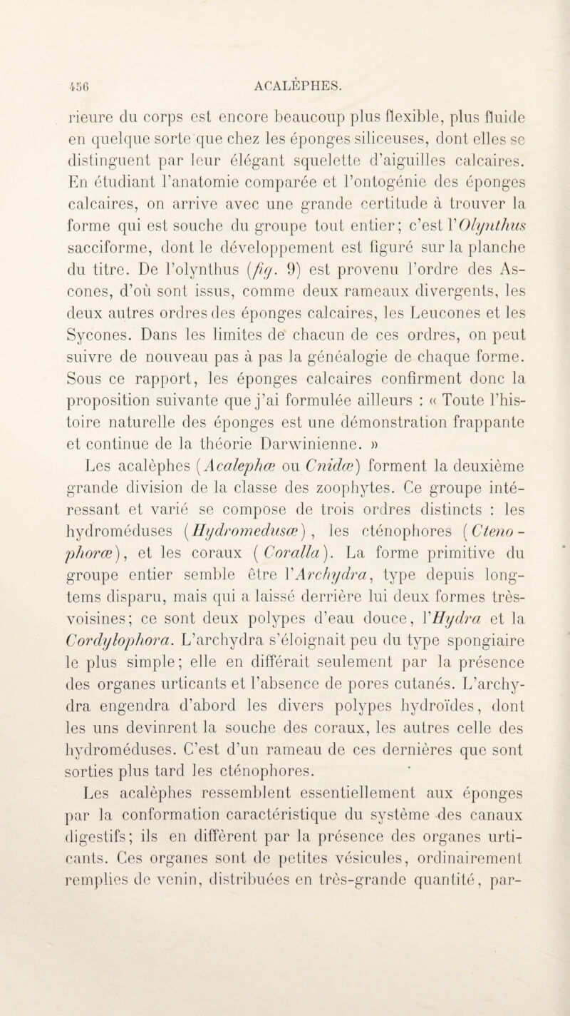 rieure du corps est encore beaucoup plus flexible, plus fluide en quelque sorte que chez les éponges siliceuses, dont elles sc distinguent par leur élégant squelette d’aiguilles calcaires. En étudiant l’anatomie comparée et l’ontogénie des éponges calcaires, on arrive avec une grande certitude à trouver la forme qui est souche du groupe tout entier; c’est VOlynthus sacciforme, dont le développement est figuré sur la planche du titre. De l’olynthus (fîg. 9) est provenu l’ordre des As- cones, d’où sont issus, comme deux rameaux divergents, les deux autres ordres des éponges calcaires, les Leucones et les Sycones. Dans les limites de chacun de ces ordres, on peut suivre de nouveau pas à pas la généalogie de chaque forme. Sous ce rapport, les éponges calcaires confirment donc la proposition suivante que j’ai formulée ailleurs : « Toute l’his¬ toire naturelle des éponges est une démonstration frappante et continue de la théorie Darwinienne. » Les acalèphes ( Acalephœ ou Cnidœ) forment la deuxième grande division de la classe des zoophytes. Ce groupe inté¬ ressant et varié se compose de trois ordres distincts : les hydroméduses (Hydromedusœ), les cténophores ( Cteno - phorœ), et les coraux ( Coralla ). La forme primitive du groupe entier semble être l’Archydro, type depuis long- tems disparu, mais qui a laissé derrière lui deux formes très- voisines; ce sont deux polypes d’eau douce, YHydra et la Cordylophora. L’archydra s’éloignait peu du type spongiaire le plus simple; elle en différait seulement par la présence des organes urticants et l’absence de pores cutanés. L’archy¬ dra engendra d’abord les divers polypes hydroïdes, dont les uns devinrent la souche des coraux, les autres celle des hydroméduses. C’est d’un rameau de ces dernières que sont sorties plus tard les cténophores. Les acalèphes ressemblent essentiellement aux éponges par la conformation caractéristique du système des canaux digestifs; ils en diffèrent par la présence des organes urti¬ cants. Ces organes sont de petites vésicules, ordinairement remplies de venin, distribuées en très-grande quantité, par-