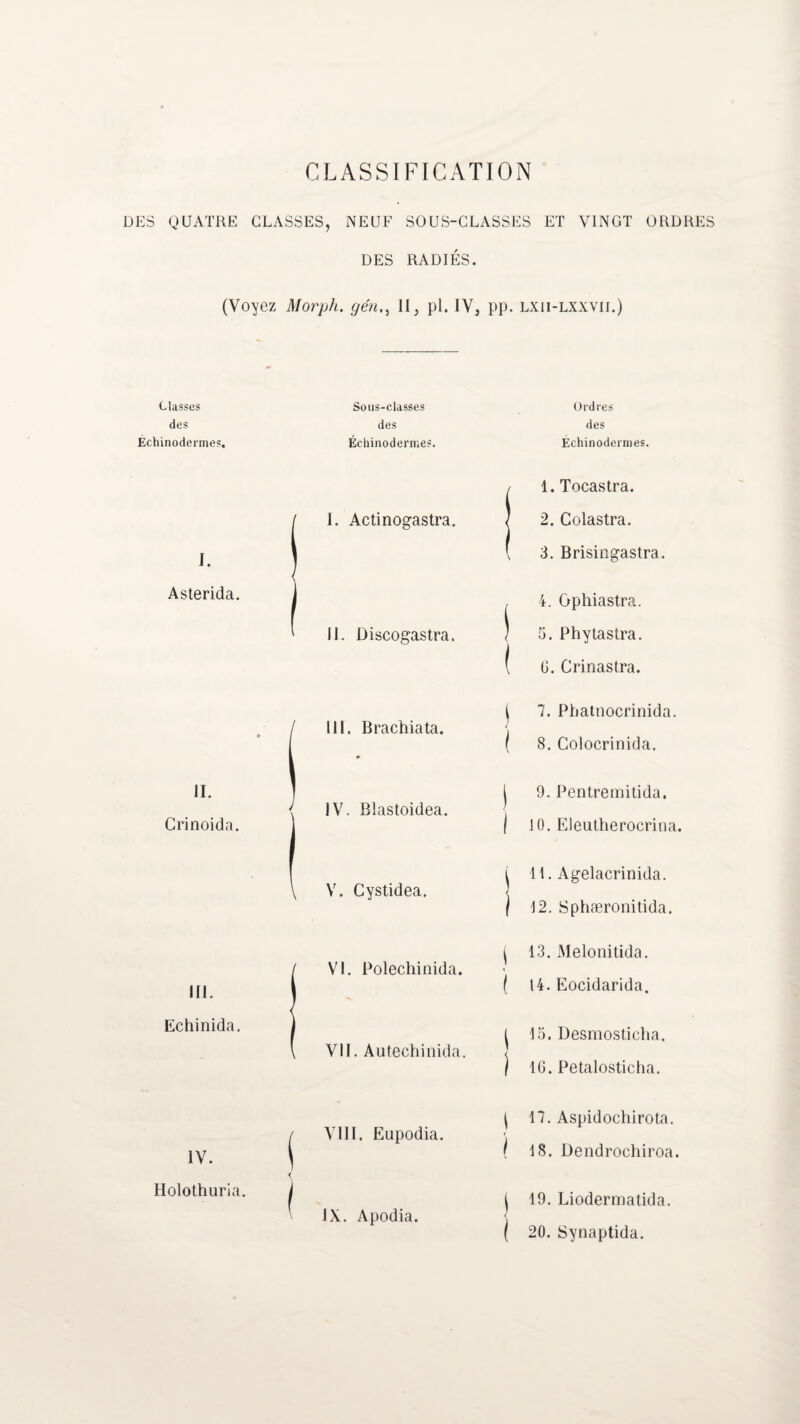 DES QUATRE CLASSES, NEUF SOUS-CLASSES ET VINGT ORDRES DES RADIÉS. (Voyez Morph. gén., Il, pl. IV, pp. lxu-lxxvii.) Classes des Échinodermes. I. Asterida. Sous-classes des Échinodermes. I. Actinogastra. Ordres des Échinodermes. 1. Tocastra. 2. Colastra. 3. Brisingastra. , 4. Ophiastra. II. Discogastra. 1 5. Phytaslra. ( G. Crinastra. II. Crinoida. III. Brachiata. IV. Blastoidea. V. Cystidea. { 7. Phatnocrinida. 1 { 8. Colocrinida. | 9. Pentremitida. | 10. Eleutherocrina. i H. Agelacrinida. | 12. Sphæronitida. III. Echinida. VI. Polechinida. VII. Autechinida. ^ 13. Melonitida. ( 14. Eocidarida. ^ 15. Desmosticha. 1 16. Petalosticha. IV. | VIII. Eupodia. Holothuria. < • IX. Apodia. | 17. Aspidochirota. I 18. üendrocliiroa. | 19. Liodermatida. ( 20. Synaptida.