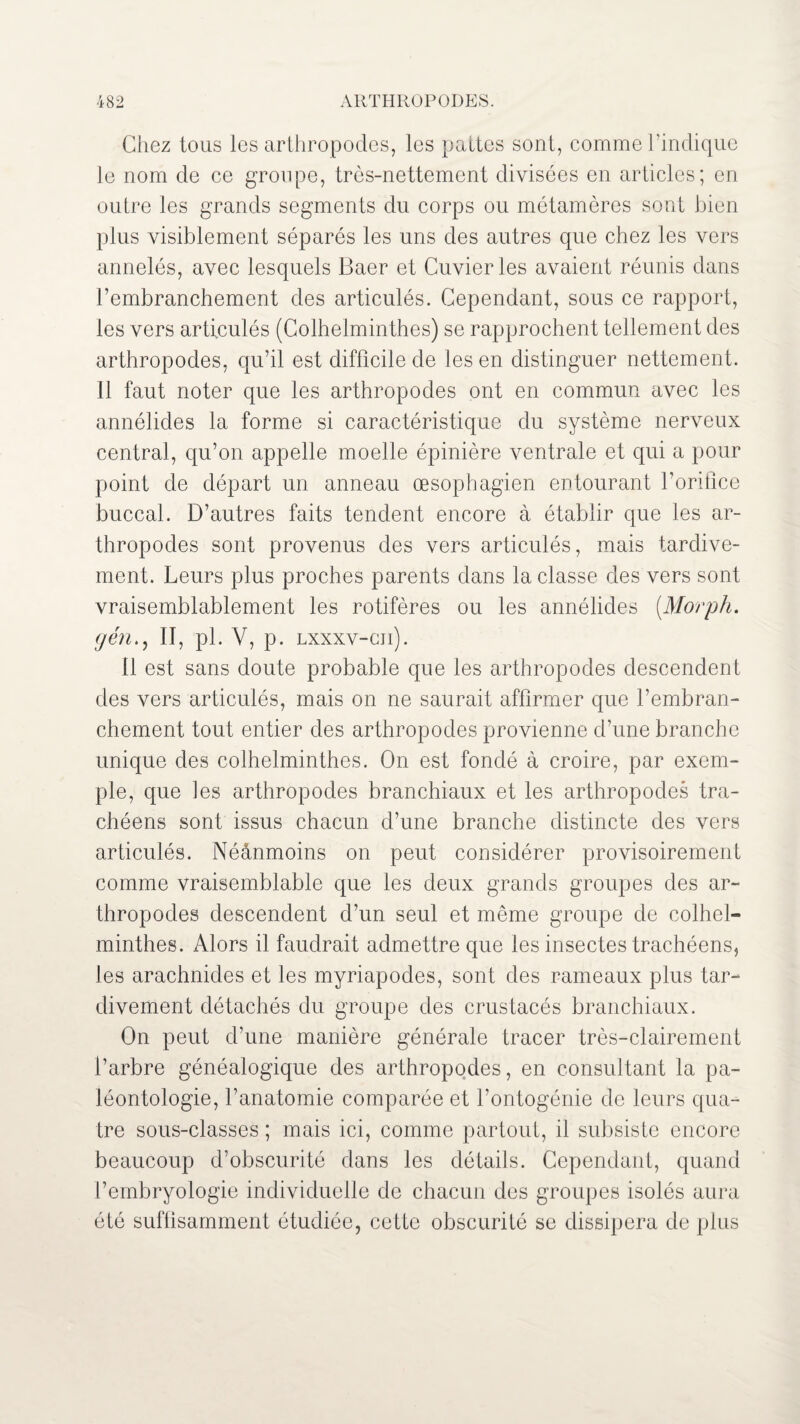 Chez tous les arthropodes, les pattes sont, comme l'indique le nom de ce groupe, très-nettement divisées en articles; en outre les grands segments du corps ou métamères sont bien plus visiblement séparés les uns des autres que chez les vers annelés, avec lesquels Baer et Cuvier les avaient réunis dans l’embranchement des articulés. Cependant, sous ce rapport, les vers articulés (Colhelminthes) se rapprochent tellement des arthropodes, qu’il est difficile de les en distinguer nettement. 11 faut noter que les arthropodes ont en commun avec les annélides la forme si caractéristique du système nerveux central, qu’on appelle moelle épinière ventrale et qui a pour point de départ un anneau œsophagien entourant l’orifice buccal. D’autres faits tendent encore à établir que les ar¬ thropodes sont provenus des vers articulés, mais tardive¬ ment. Leurs plus proches parents dans la classe des vers sont vraisemblablement les rotifères ou les annélides (.Morph. (jén., II, pl. V, p. lxxxv-cii). Il est sans doute probable que les arthropodes descendent des vers articulés, mais on ne saurait affirmer que l’embran¬ chement tout entier des arthropodes provienne d’une branche unique des colhelminthes. On est fondé à croire, par exem¬ ple, que les arthropodes branchiaux et les arthropodes tra¬ chéens sont issus chacun d’une branche distincte des vers articulés. Néànmoins on peut considérer provisoirement comme vraisemblable que les deux grands groupes des ar¬ thropodes descendent d’un seul et même groupe de colhel¬ minthes. Alors il faudrait admettre que les insectes trachéens, les arachnides et les myriapodes, sont des rameaux plus tar¬ divement détachés du groupe des crustacés branchiaux. On peut d’une manière générale tracer très-clairement l’arbre généalogique des arthropodes, en consultant la pa¬ léontologie, l’anatomie comparée et l'ontogénie de leurs qua¬ tre sous-classes ; mais ici, comme partout, il subsiste encore beaucoup d’obscurité dans les détails. Cependant, quand l’embryologie individuelle de chacun des groupes isolés aura été suffisamment étudiée, cette obscurité se dissipera de plus