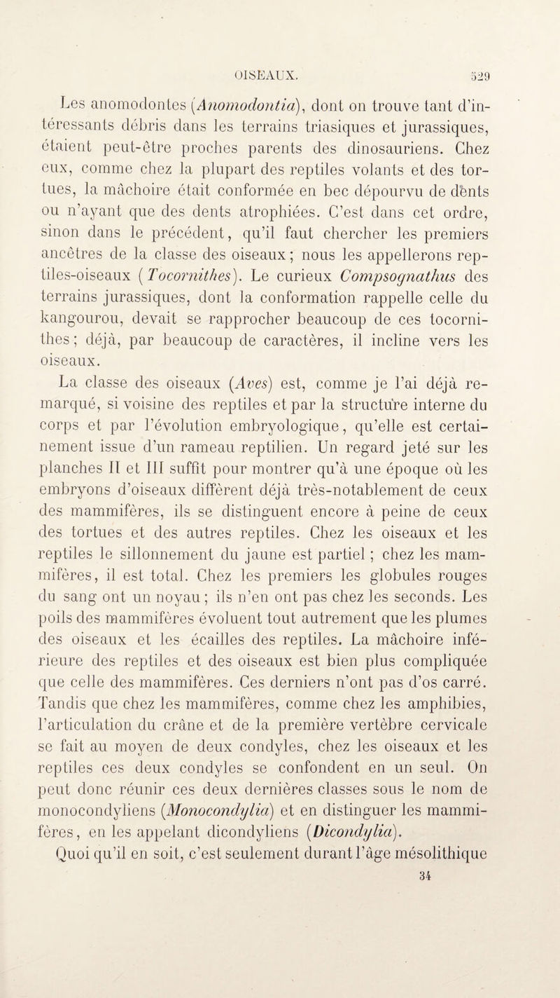 Les anomoclontes [Anomodontia], dont on trouve tant d’in¬ téressants débris dans les terrains triasiques et jurassiques, étaient peut-être proches parents des dinosauriens. Chez eux, comme chez la plupart des reptiles volants et des tor¬ tues, la mâchoire était conformée en bec dépourvu de dênts ou n’ayant que des dents atrophiées. C’est dans cet ordre, sinon dans le précédent, qu’il faut chercher les premiers ancêtres de la classe des oiseaux ; nous les appellerons rep¬ tiles-oiseaux ( Tocornithes). Le curieux Compsognathas des terrains jurassiques, dont la conformation rappelle celle du kangourou, devait se rapprocher beaucoup de ces tocorni¬ thes ; déjà, par beaucoup de caractères, il incline vers les oiseaux. La classe des oiseaux (Aves) est, comme je l’ai déjà re¬ marqué, si voisine des reptiles et par la structure interne du corps et par l’évolution embryologique, qu’elle est certai¬ nement issue d’un rameau reptilien. Un regard jeté sur les planches II et III suffît pour montrer qu’à une époque où les embryons d’oiseaux diffèrent déjà très-notablement de ceux des mammifères, ils se distinguent encore à peine de ceux des tortues et des autres reptiles. Chez les oiseaux et les reptiles le sillonnement du jaune est partiel ; chez les mam¬ mifères, il est total. Chez les premiers les globules rouges du sang ont un noyau ; ils n’en ont pas chez les seconds. Les poils des mammifères évoluent tout autrement que les plumes des oiseaux et les écailles des reptiles. La mâchoire infé¬ rieure des reptiles et des oiseaux est bien plus compliquée que celle des mammifères. Ces derniers n’ont pas d’os carré. Tandis que chez les mammifères, comme chez les amphibies, l’articulation du crâne et de la première vertèbre cervicale se fait au moyen de deux condyles, chez les oiseaux et les reptiles ces deux condyles se confondent en un seul. On peut donc réunir ces deux dernières classes sous le nom de monocondyiiens (Monocondylici) et en distinguer les mammi¬ fères, en les appelant dicondyliens (Dicondylia). Quoi qu’il en soit, c’est seulement durant l’âge mésolithique 34