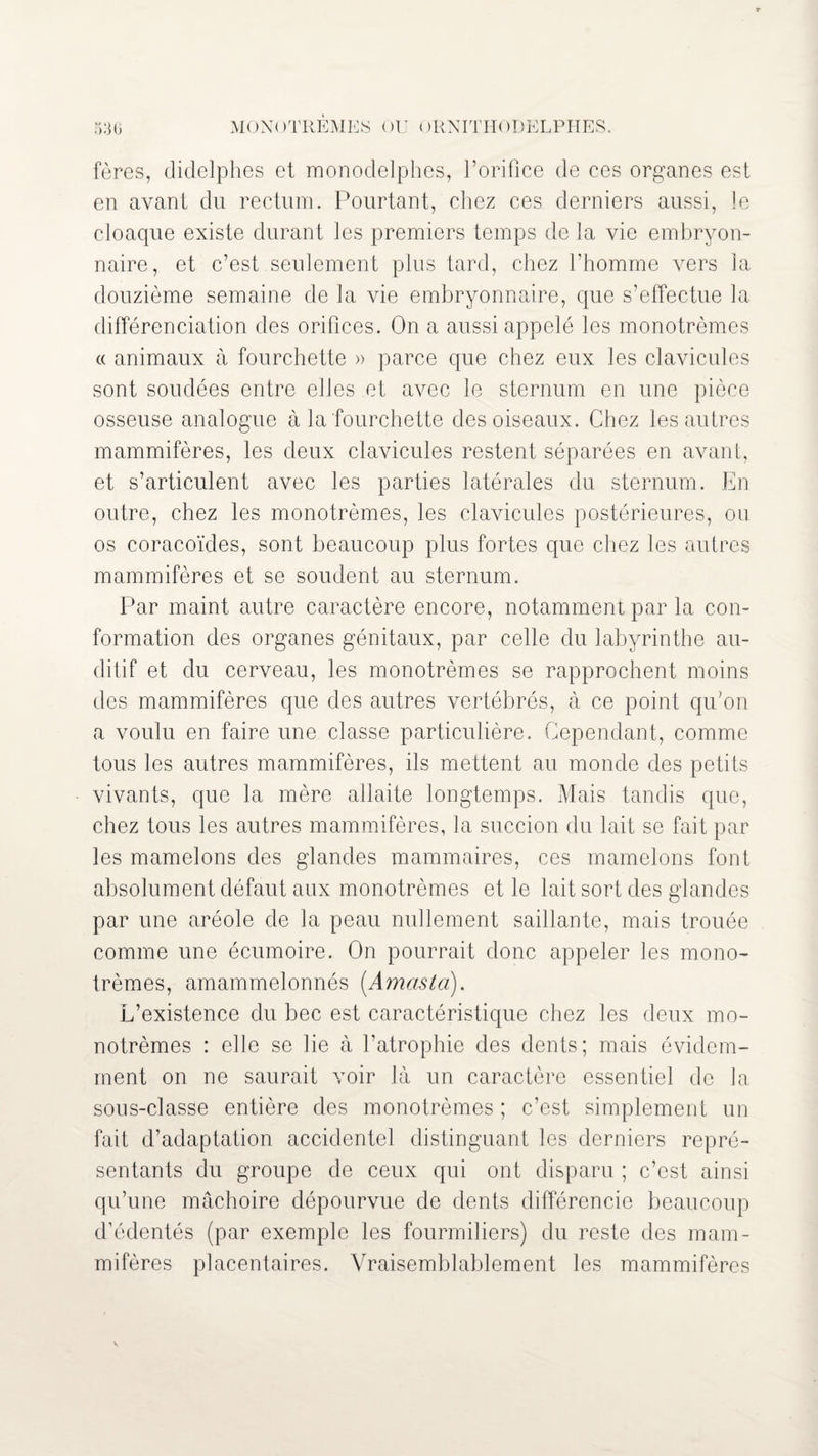 fères, didelphes ot raonodelphcs, l’orifice de ces organes est en avant du rectum. Pourtant, chez ces derniers aussi, le cloaque existe durant les premiers temps de la vie embryon¬ naire, et c’est seulement plus tard, chez l’homme vers la douzième semaine de la vie embryonnaire, que s’effectue la différenciation des orifices. On a aussi appelé les monotrèmes « animaux à fourchette » parce que chez eux les clavicules sont soudées entre elles et avec le sternum en une pièce osseuse analogue à la fourchette des oiseaux. Chez les autres mammifères, les deux clavicules restent séparées en avant, et s’articulent avec les parties latérales du sternum. En outre, chez les monotrèmes, les clavicules postérieures, ou os coracoïdes, sont beaucoup plus fortes que chez les autres mammifères et se soudent au sternum. Par maint autre caractère encore, notamment par la con¬ formation des organes génitaux, par celle du labyrinthe au¬ ditif et du cerveau, les monotrèmes se rapprochent moins des mammifères que des autres vertébrés, à ce point qu’on a voulu en faire une classe particulière. Cependant, comme tous les autres mammifères, ils mettent au monde des petits vivants, que la mère allaite longtemps. Mais tandis que, chez tous les autres mammifères, la succion du lait se fait par les mamelons des glandes mammaires, ces mamelons font absolument défaut aux monotrèmes et le lait sort des glandes par une aréole de la peau nullement saillante, mais trouée comme une écumoire. On pourrait donc appeler les mono¬ trèmes, amammelonnés (Amasta). L’existence du bec est caractéristique chez les deux mo¬ notrèmes : elle se lie à l’atrophie des dents; mais évidem¬ ment on ne saurait voir là un caractère essentiel de la sous-classe entière des monotrèmes; c’est simplement un fait d’adaptation accidentel distinguant les derniers repré¬ sentants du groupe de ceux qui ont disparu ; c’est ainsi qu’une mâchoire dépourvue de dents différencie beaucoup d’édentés (par exemple les fourmiliers) du reste des mam¬ mifères placentaires. Vraisemblablement les mammifères